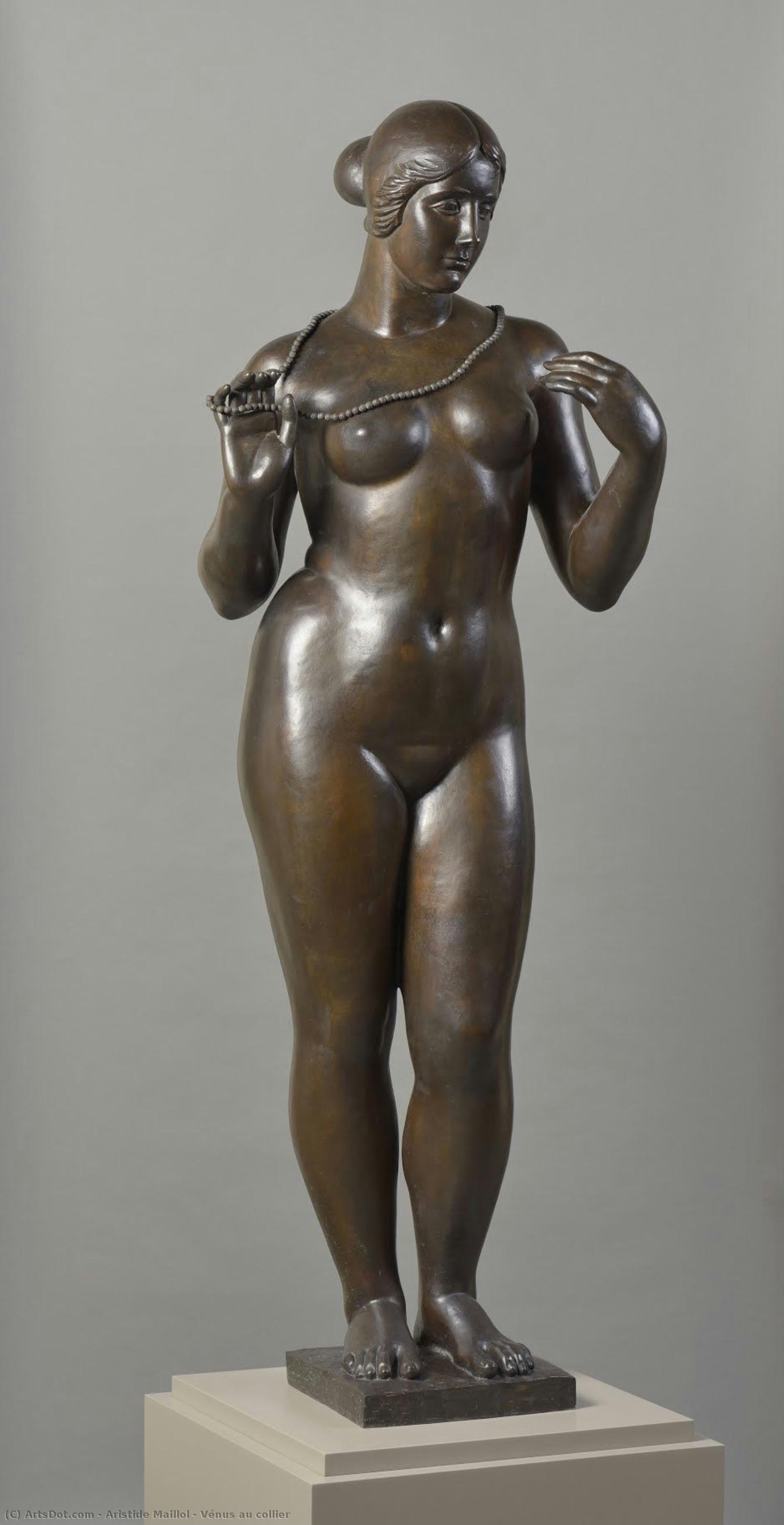 Vénus Au Collier — Arstid Majol
