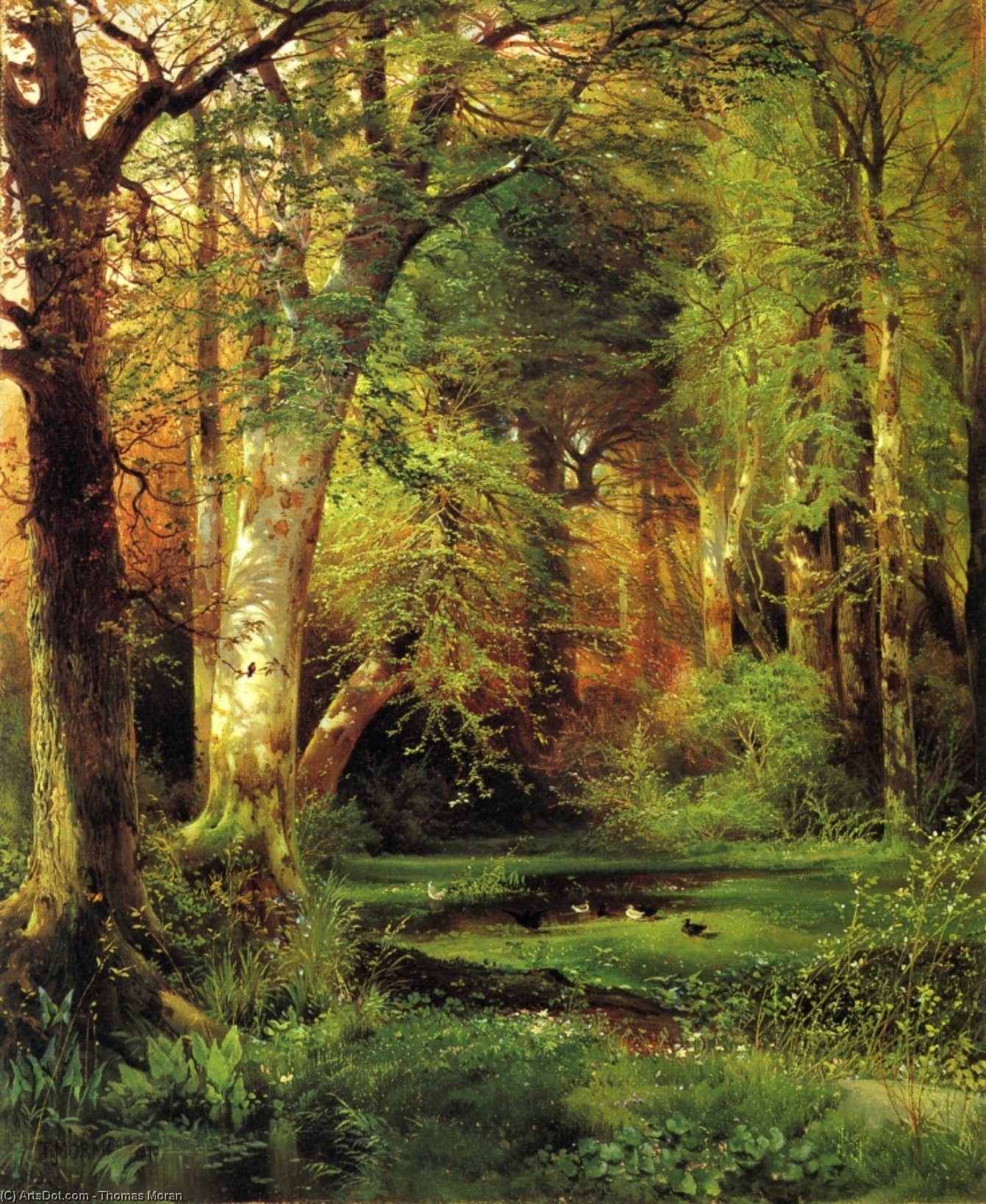 توماس موران - Forest Scene