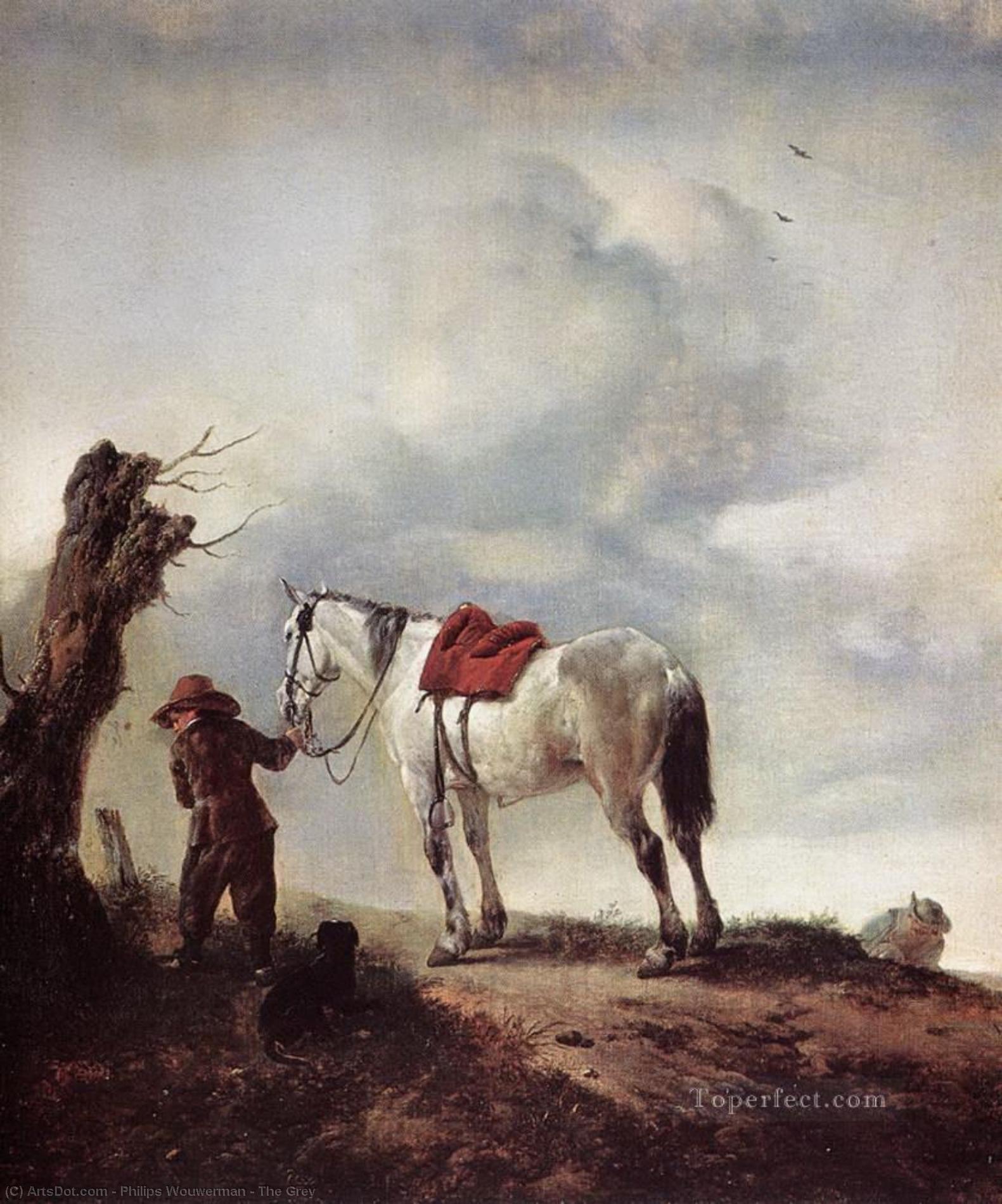 The Grey — Philips Wouwermański