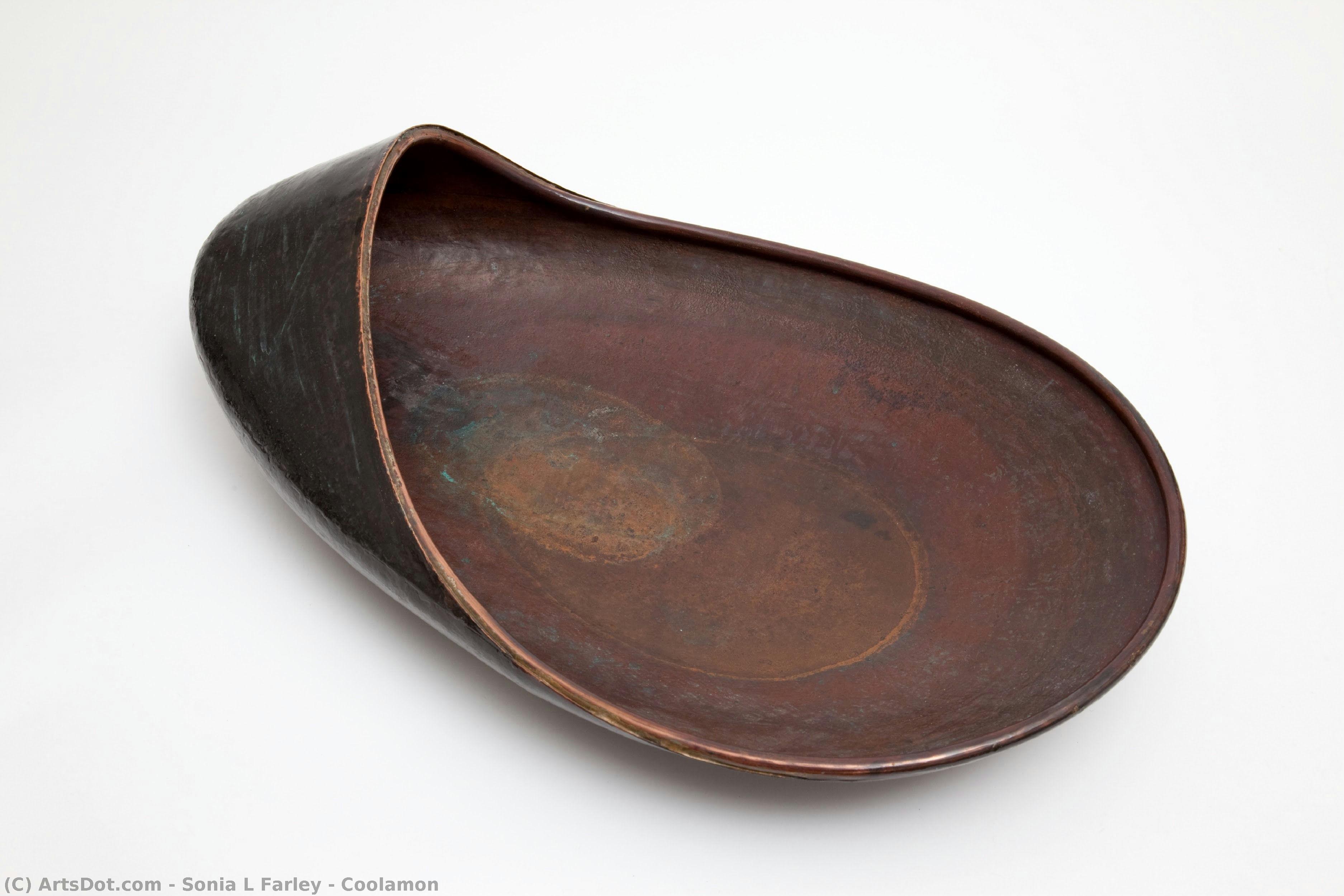 Coolamon — Sonia L Farley