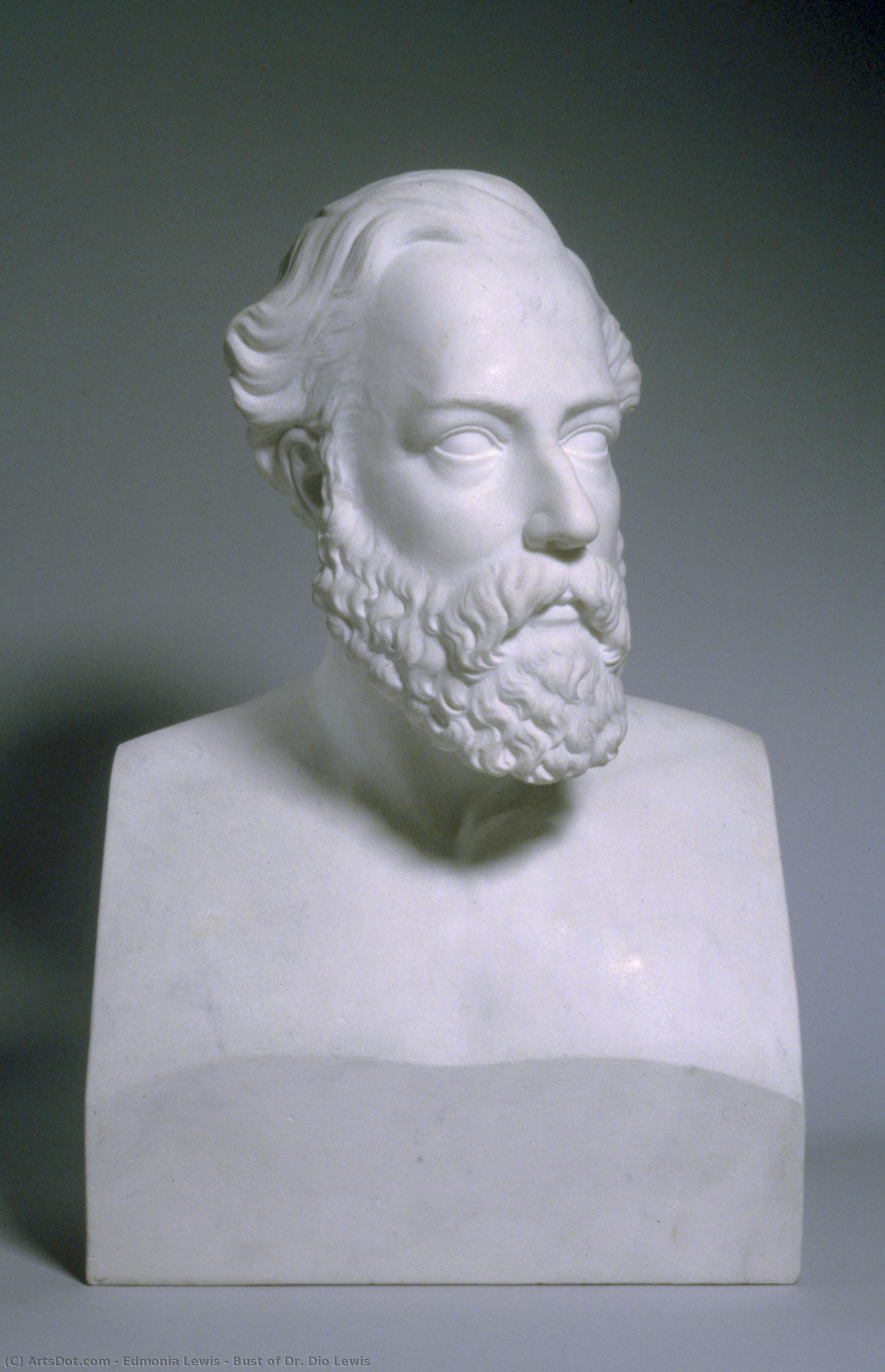Edmonia Lewis - Bust of Dr. Dio Lewis