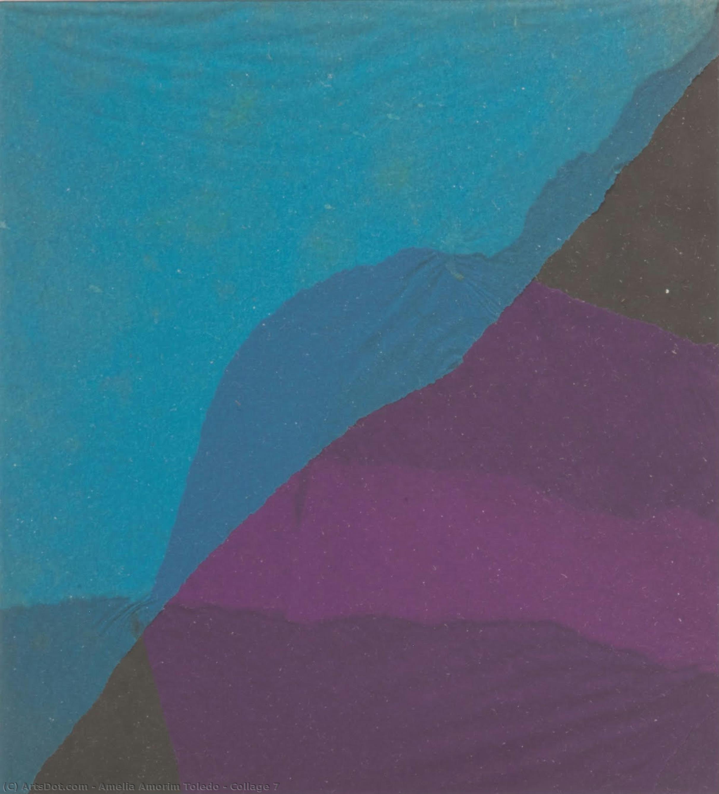 Amelia Amorim Toledo - Collage 7