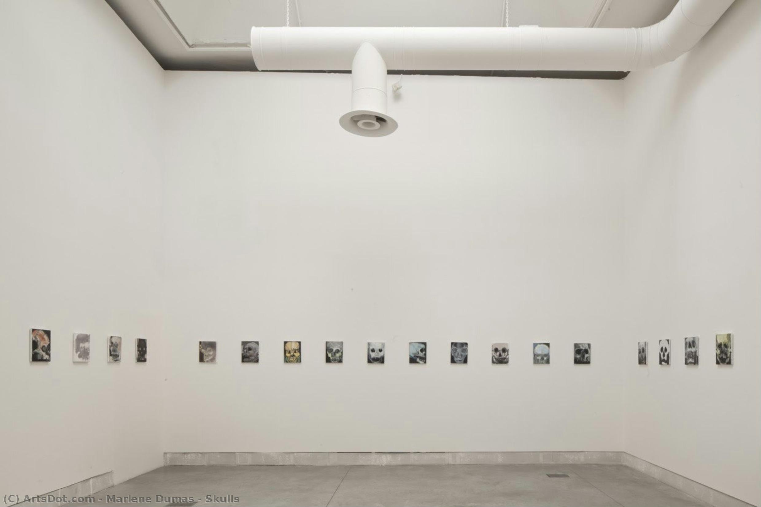Skulls — Marlene Dumas