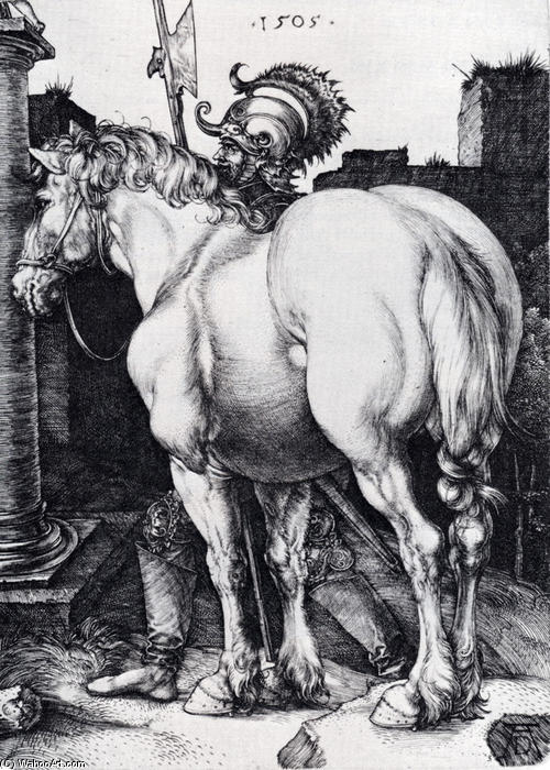 Albrecht Dürer - Il grande cavallo