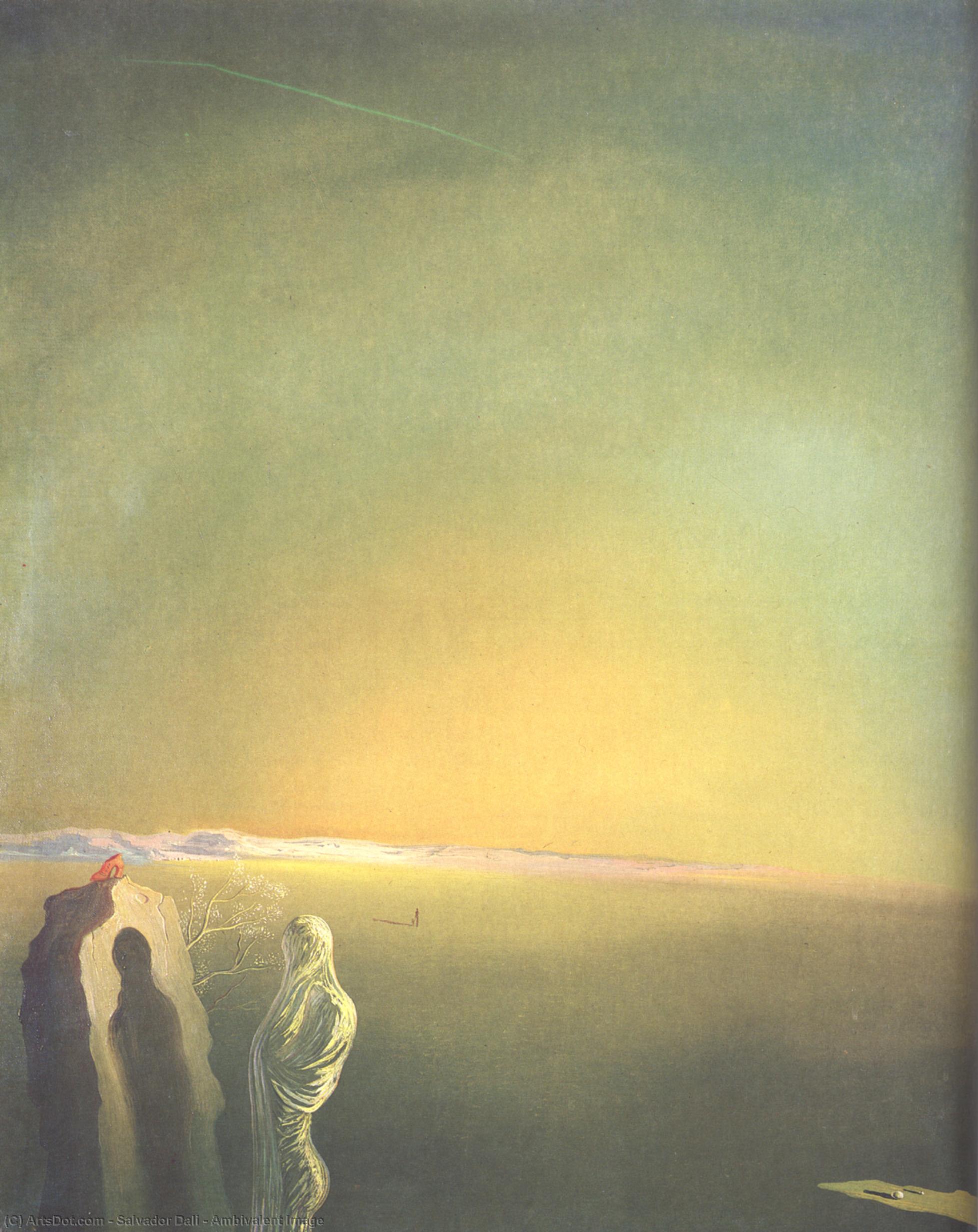 Salvador Dalí - Ambivalente Bild