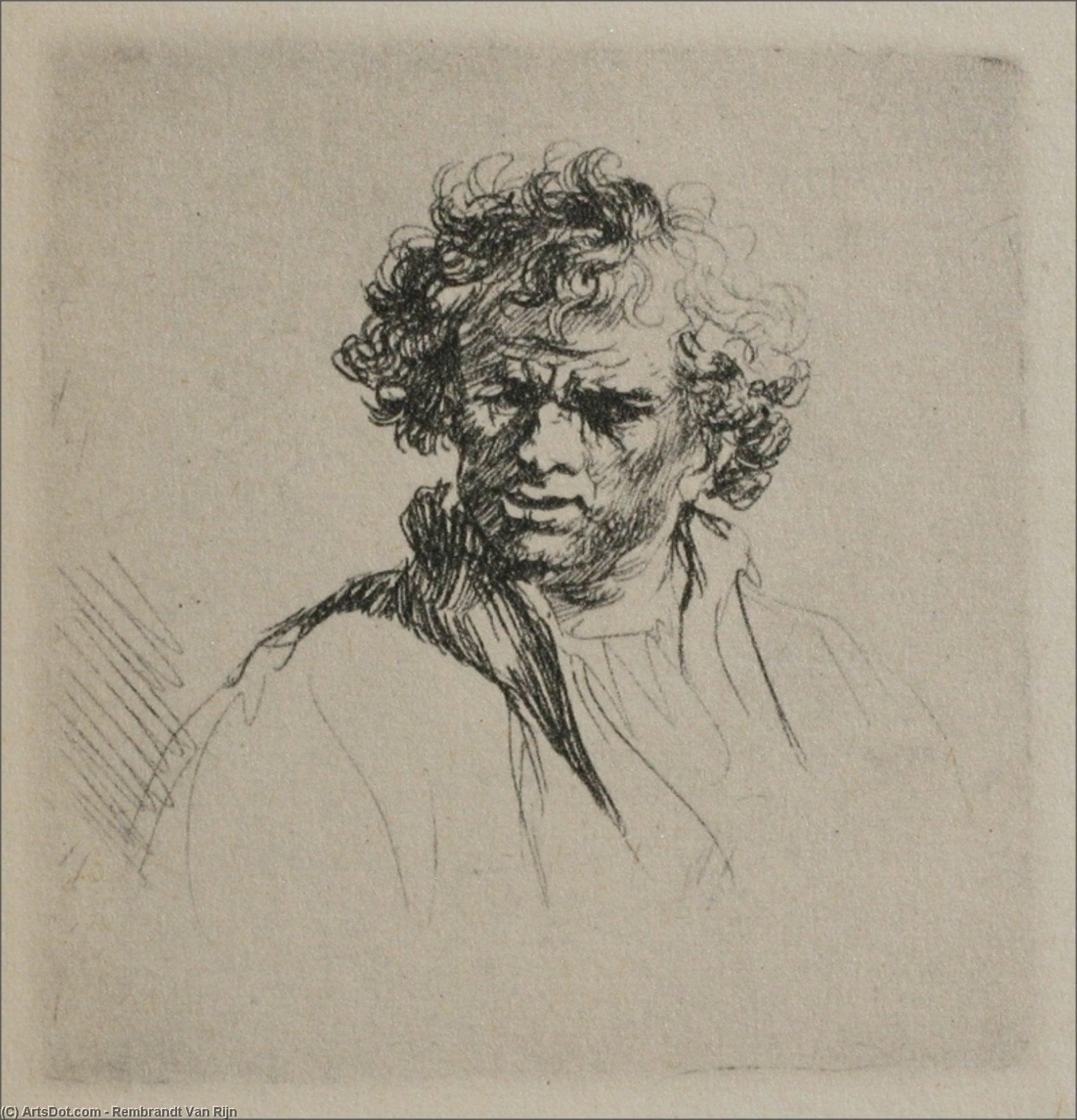 A Man With Curly Hair — Rembrandt