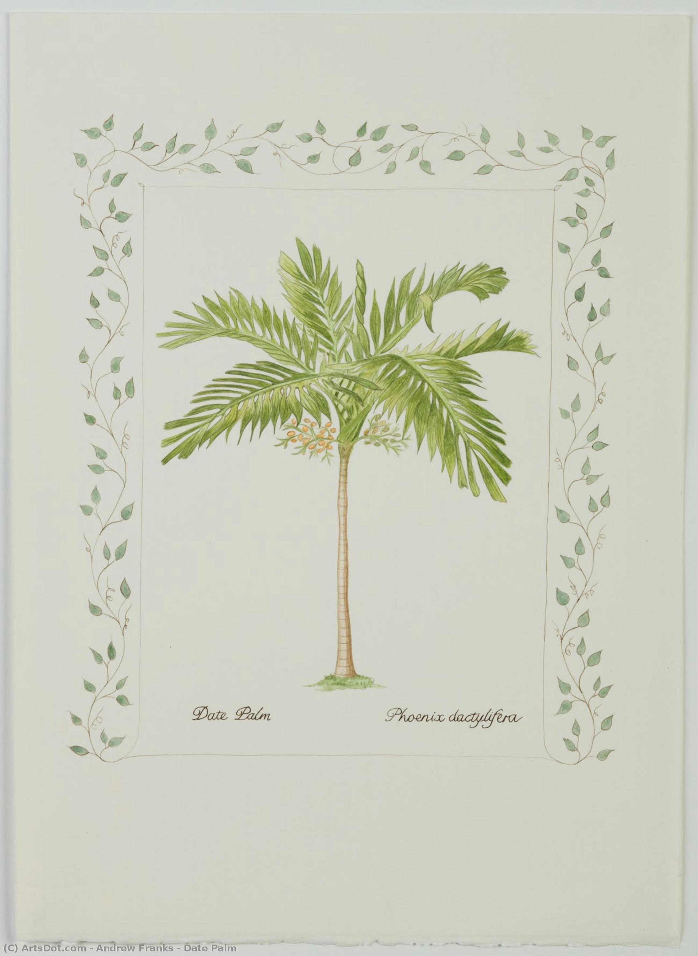 Date Palm — Andrew Franks