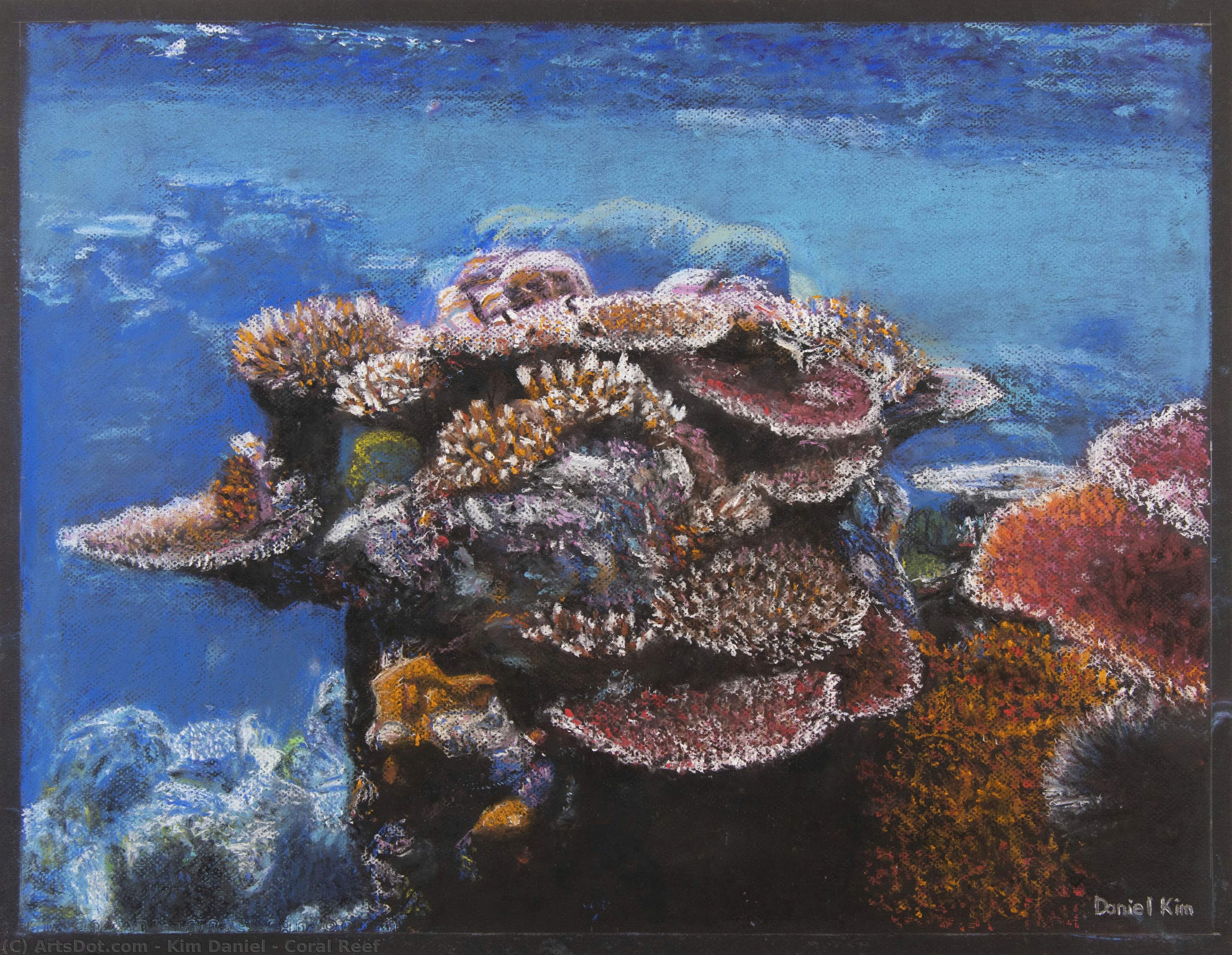 kim daniel - Coral Reef