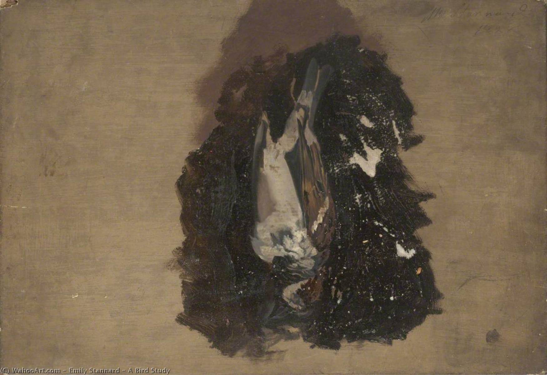 A Bird Study — Emily Stannard