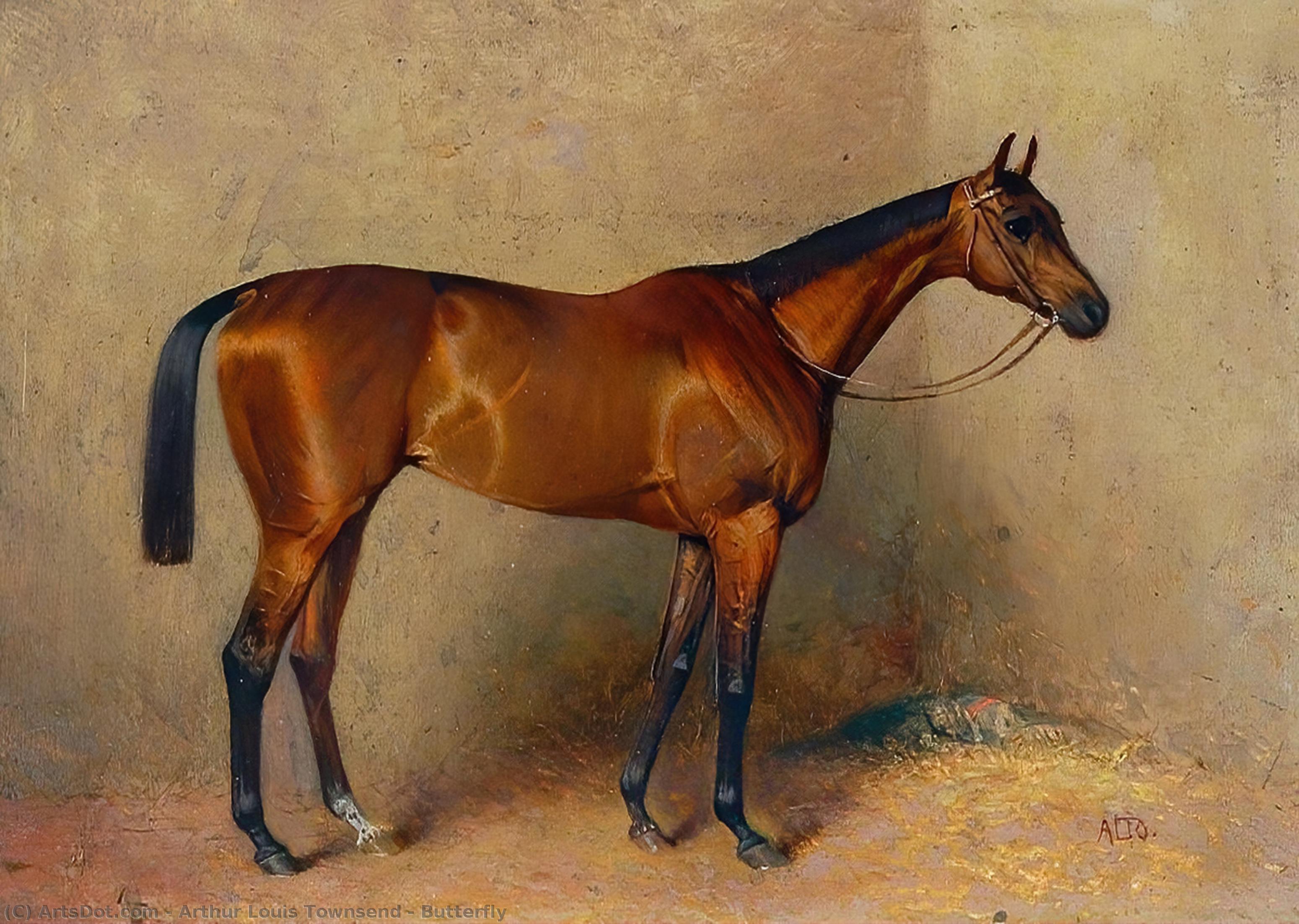arthur louis townsend - Butterfly