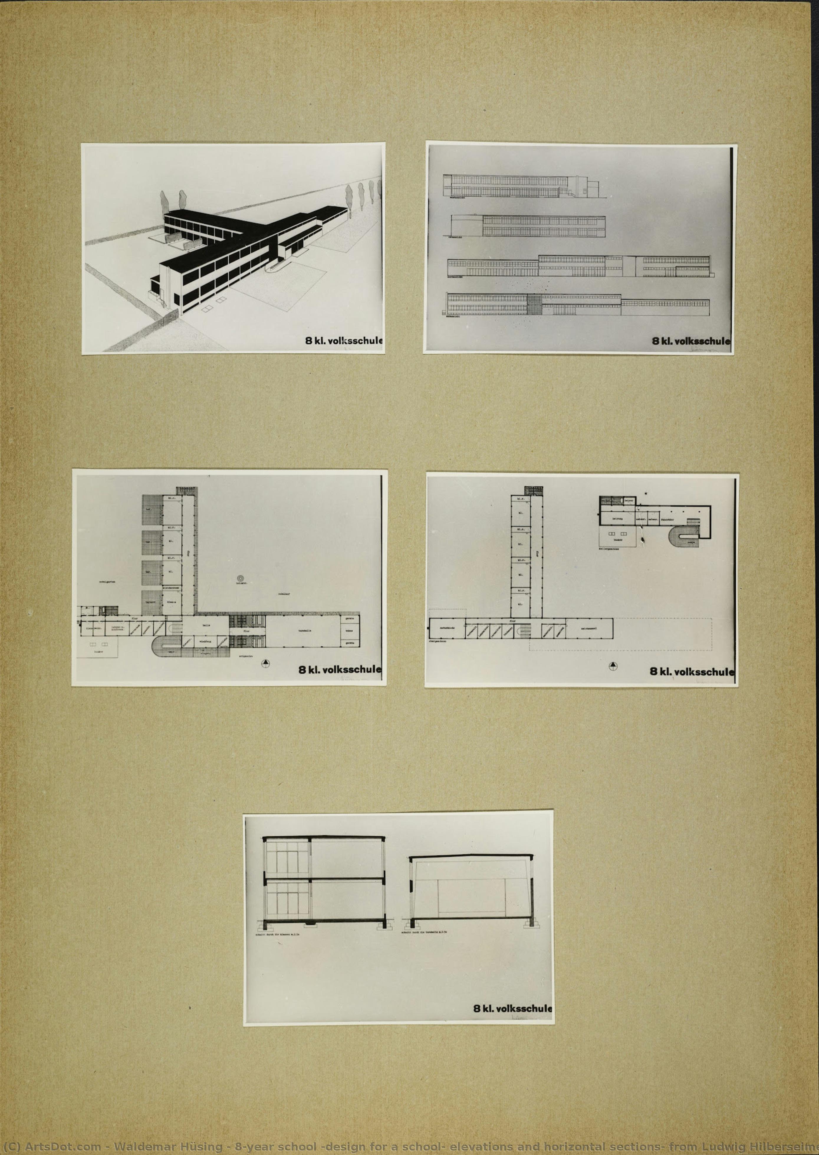 8-year School (design For A School, Elevations And Horizontal Sections, From Ludwig Hilberseimer — Waldemar Hüsing