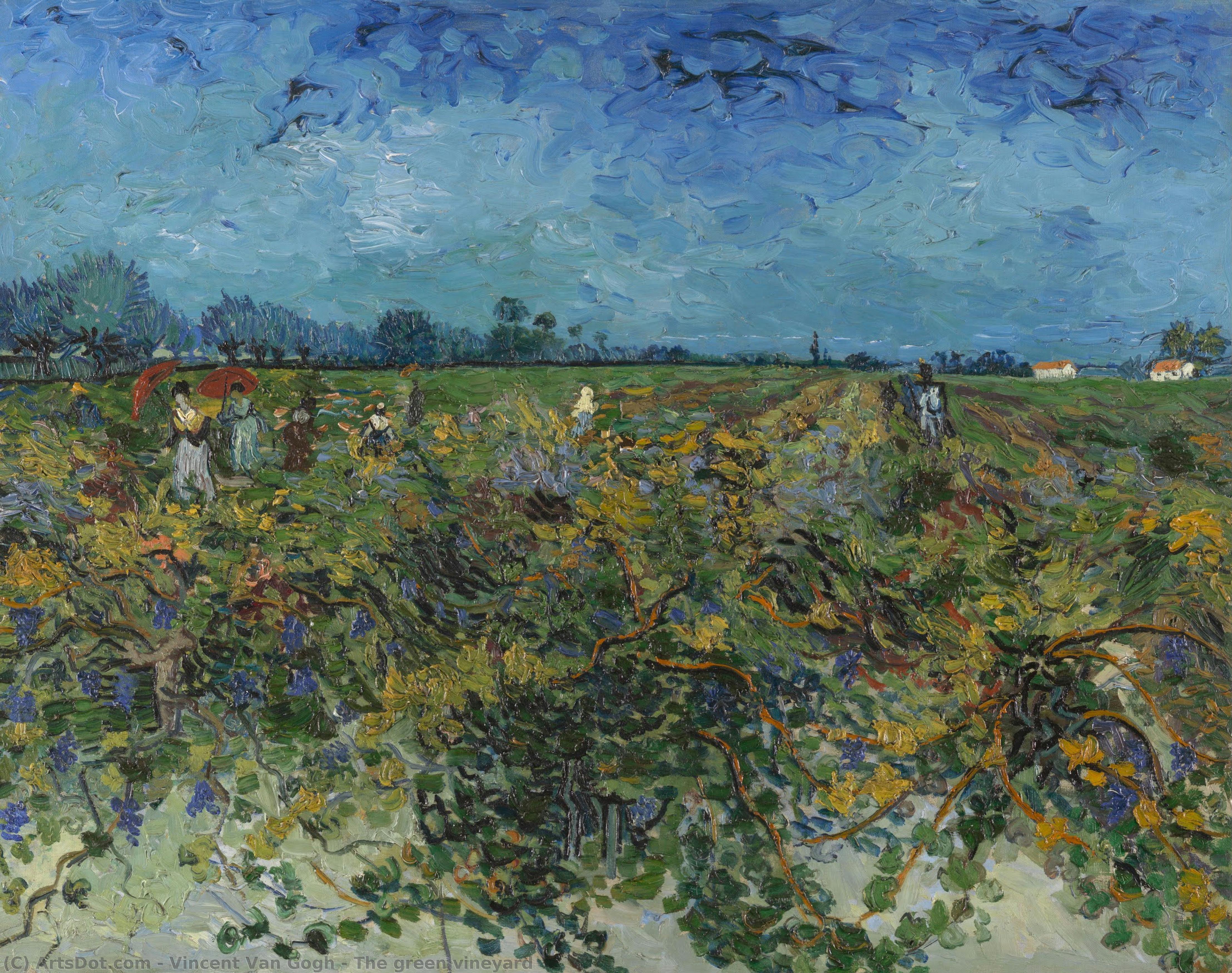 vincent willem van gogh - Il vigneto verde
