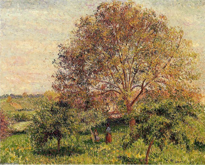 Камил Писаро - Walnut Tree in Spring