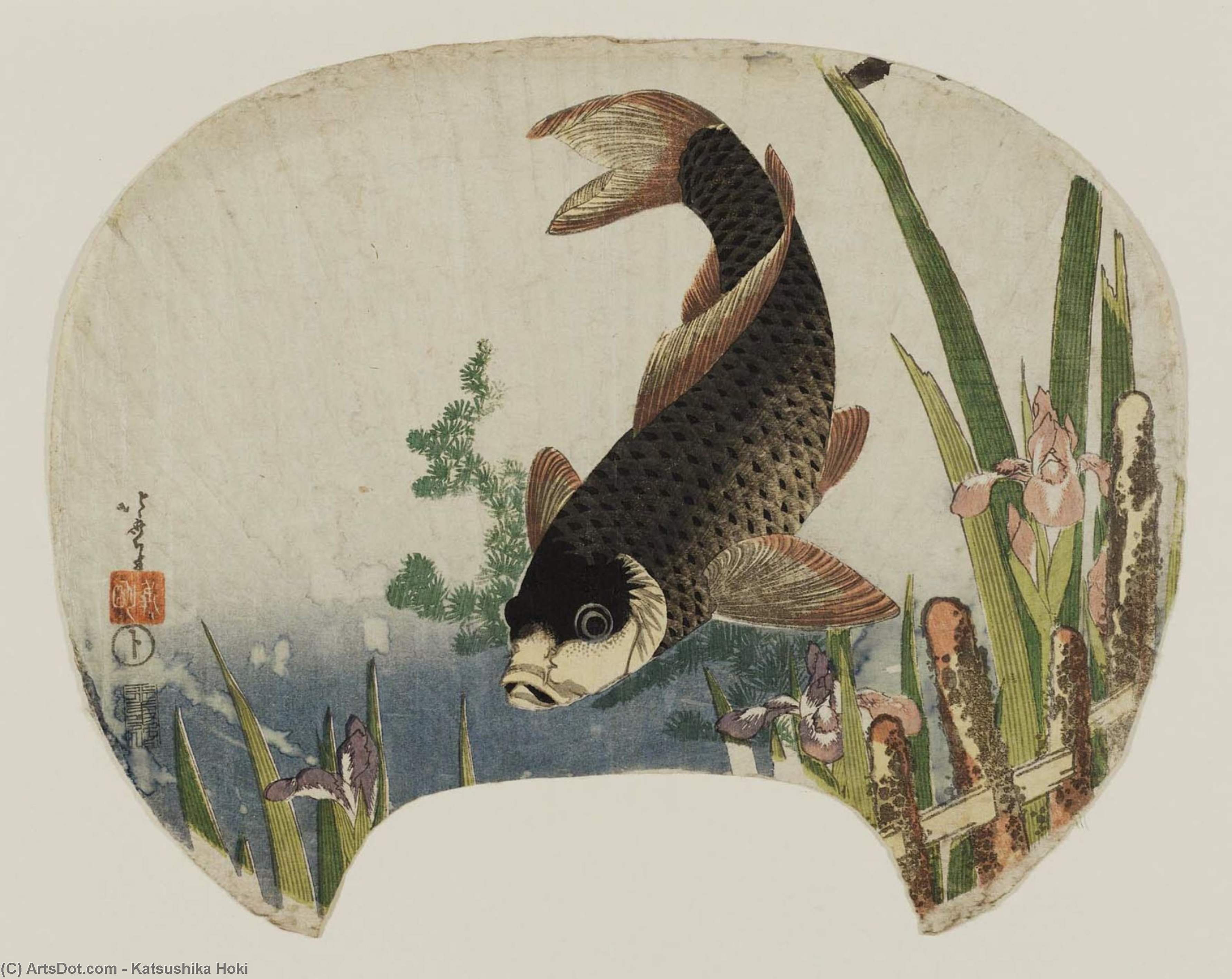 カルプ アンド イリス — 葛飾北斎 (katsushika Hokusai)