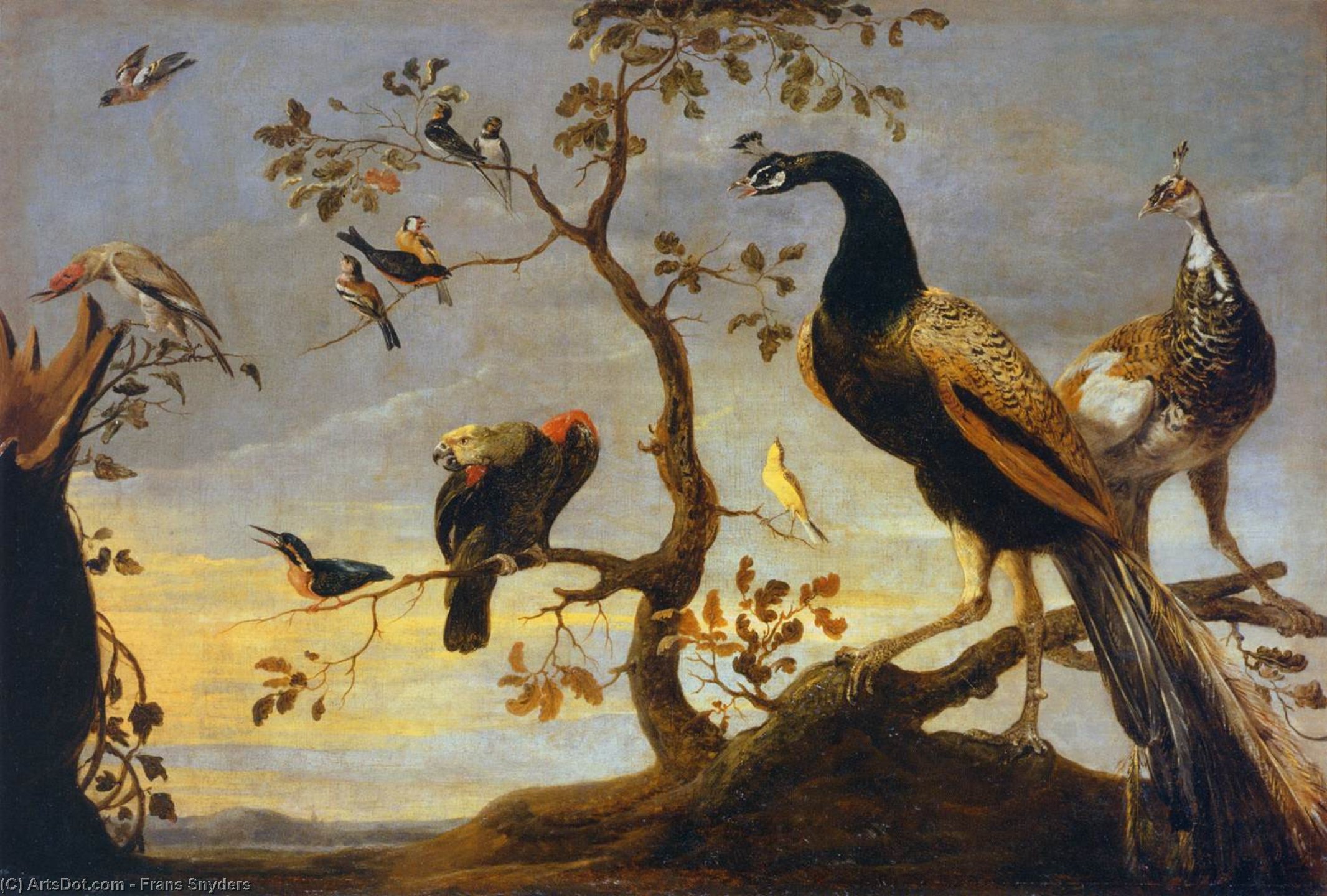 Groupe D'oiseaux Perchés Sur Des Branches — Frans Snyders