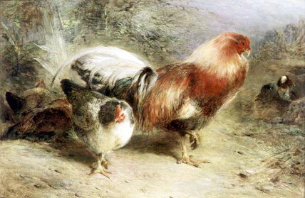 Poultry — William Huggins