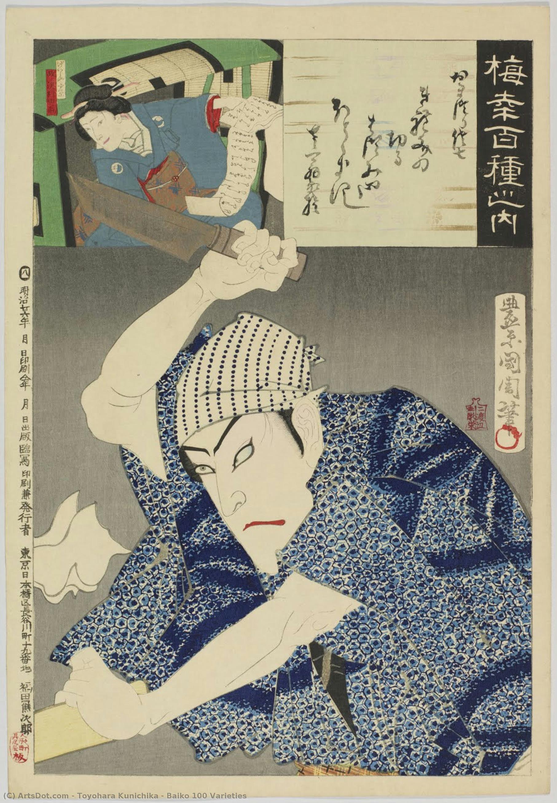 Toyohara Kunichika - Baiko 100 Varieties