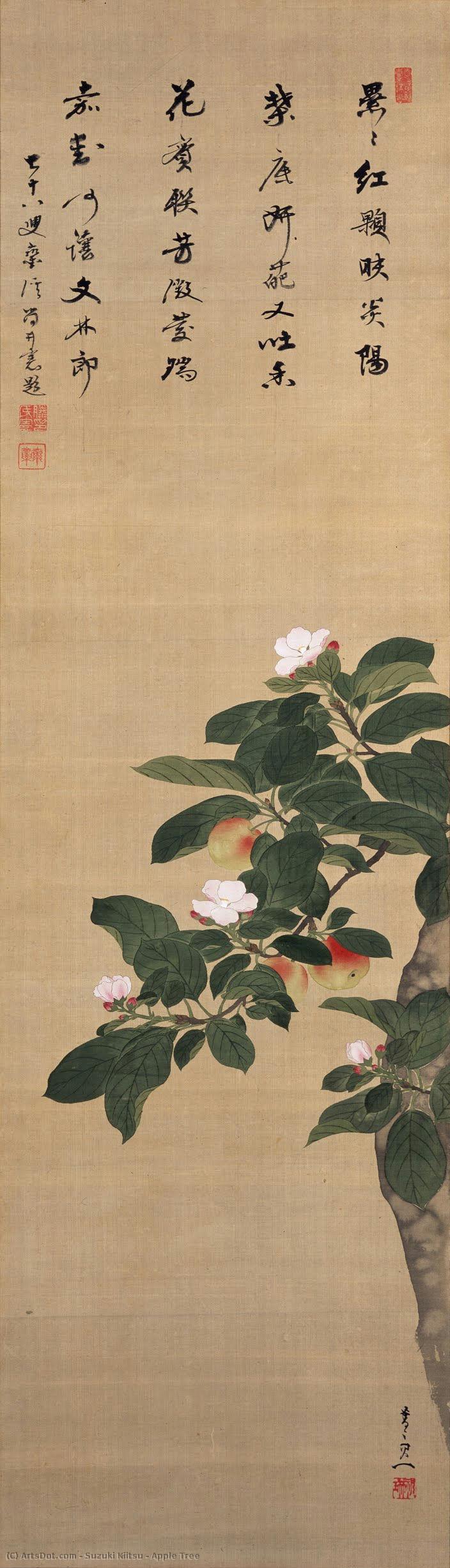 Apple Tree — Suzuki Kiitsu