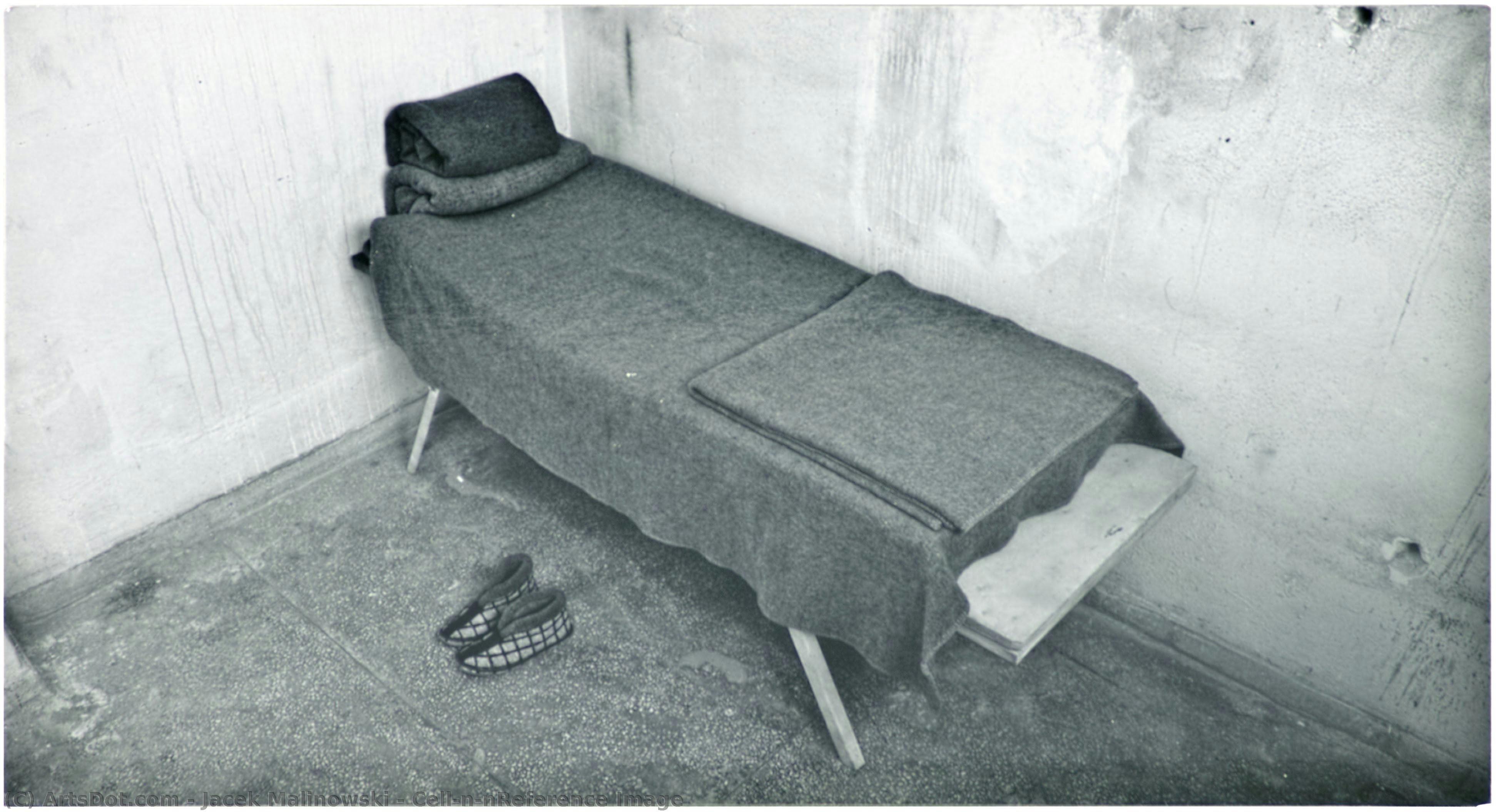 Cell\n\nreference Image — Jacek Malinowski