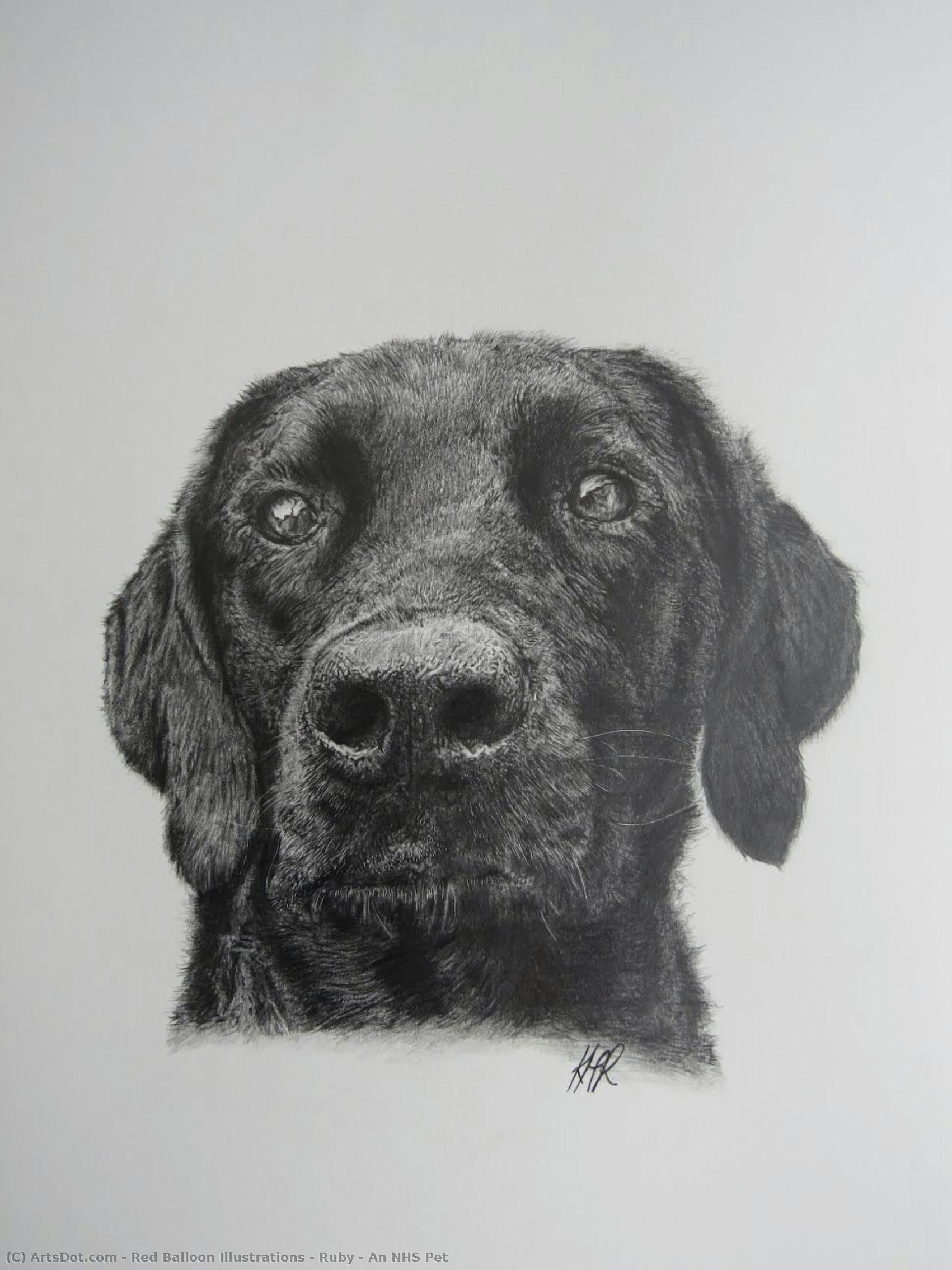 Ruby - An Nhs Pet — Red Balloon Illustrations