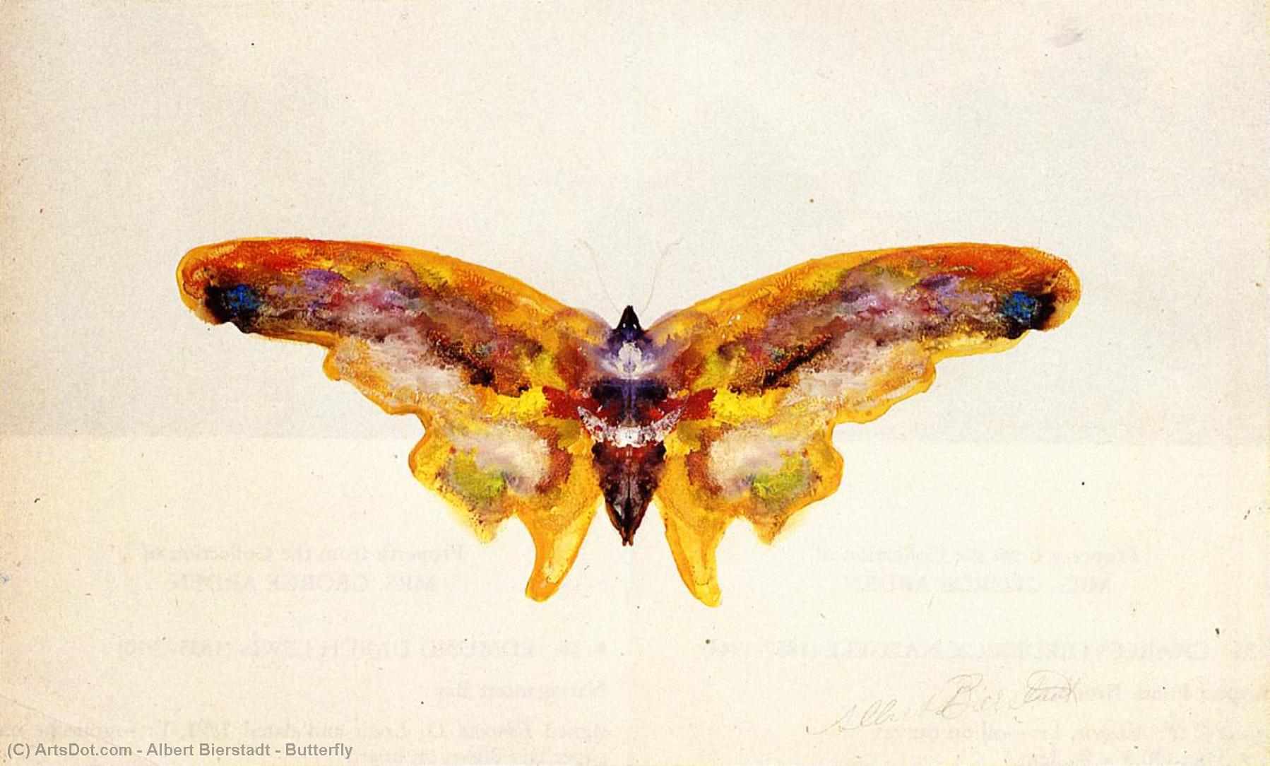 Butterfly — Albert Bierstadt