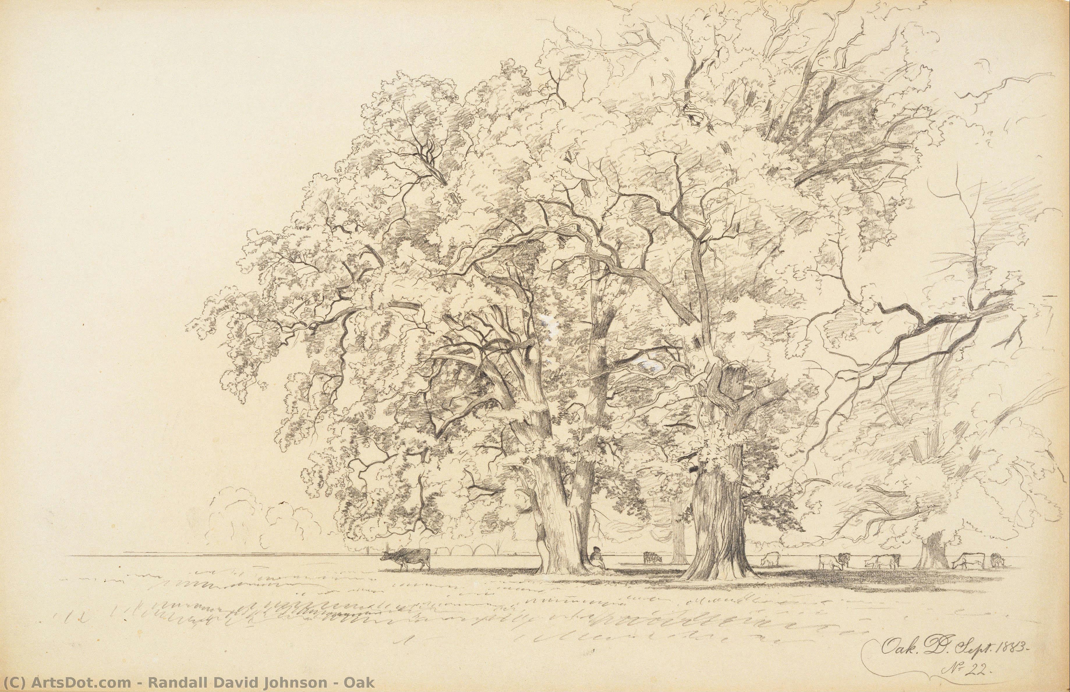 Oak — Randall David Johnson