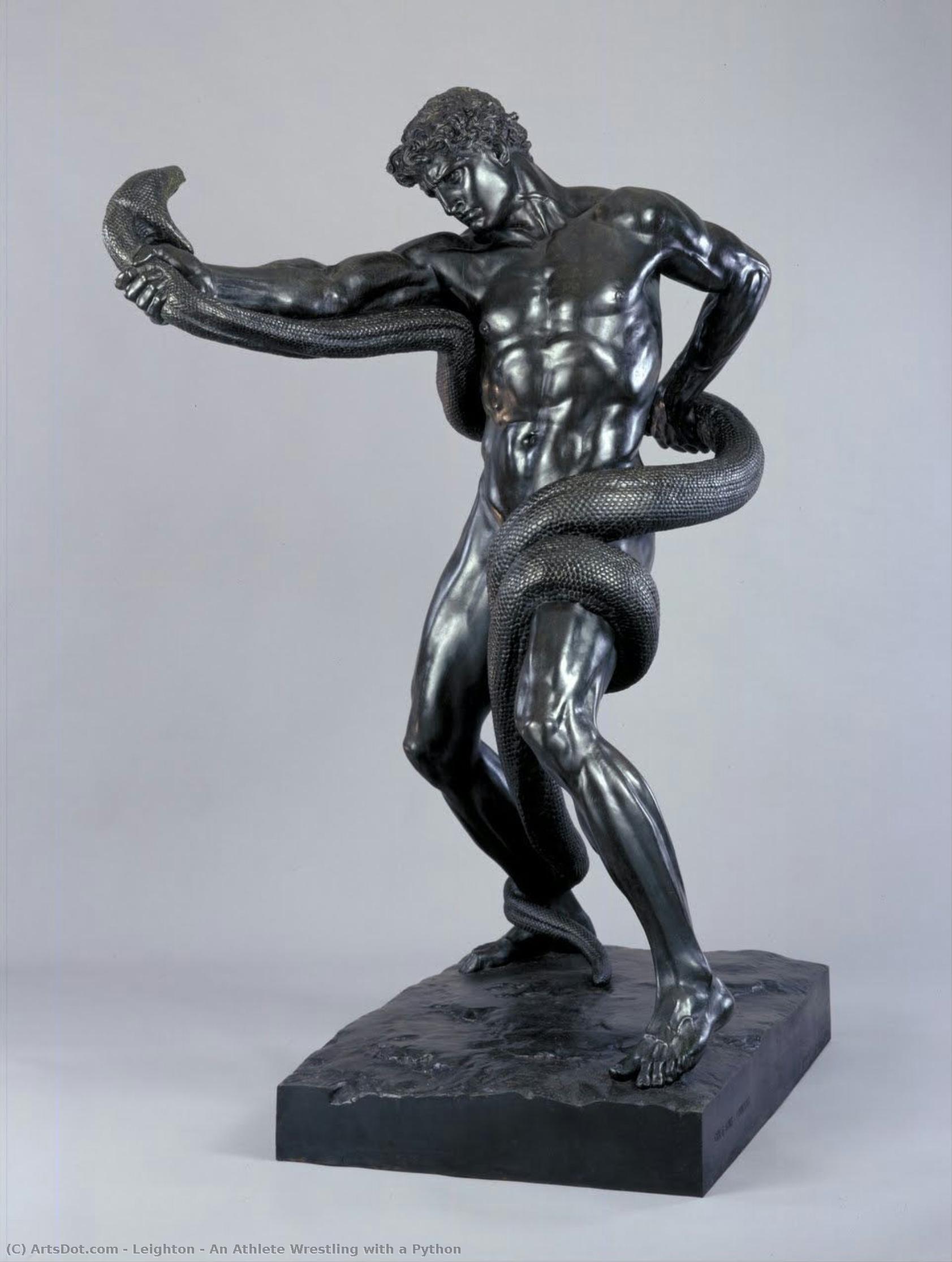 clare veronica hope - An Athlete Wrestling with a Python