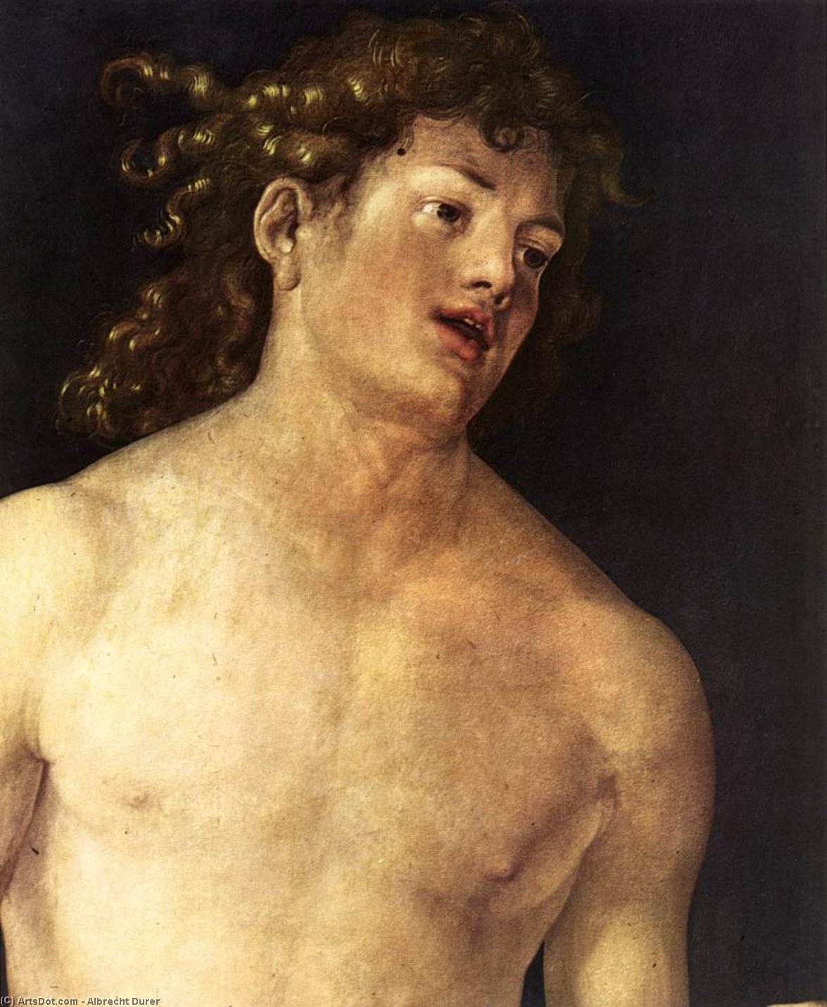 Adam (Detail)