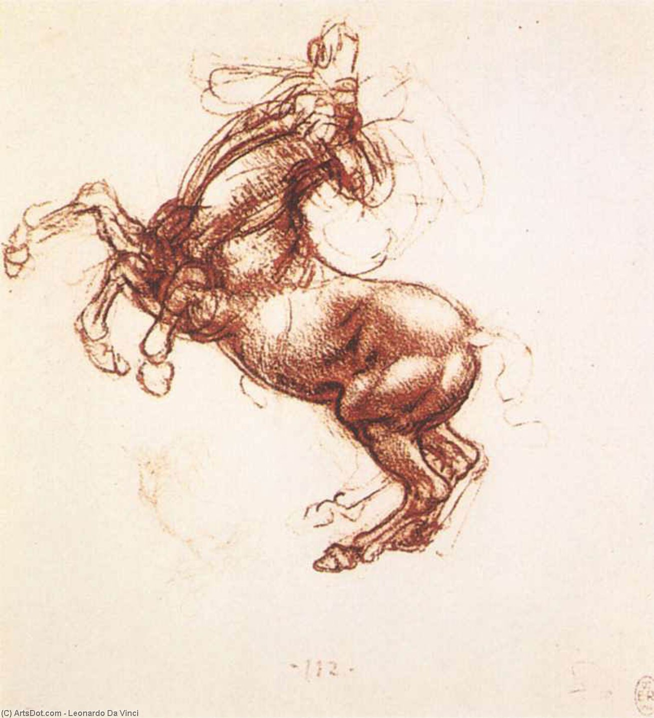Leonardo Da Vinci Renaissance Naturalistic Drawing 153 X 142 Cm Anatomy Studies Royal Library Of Windsor Chalk Drawing High Renaissance Anatomy Study Horse In Motion Rearing Horse Rastuća Konja 1503 — Leonardo Da Vinci