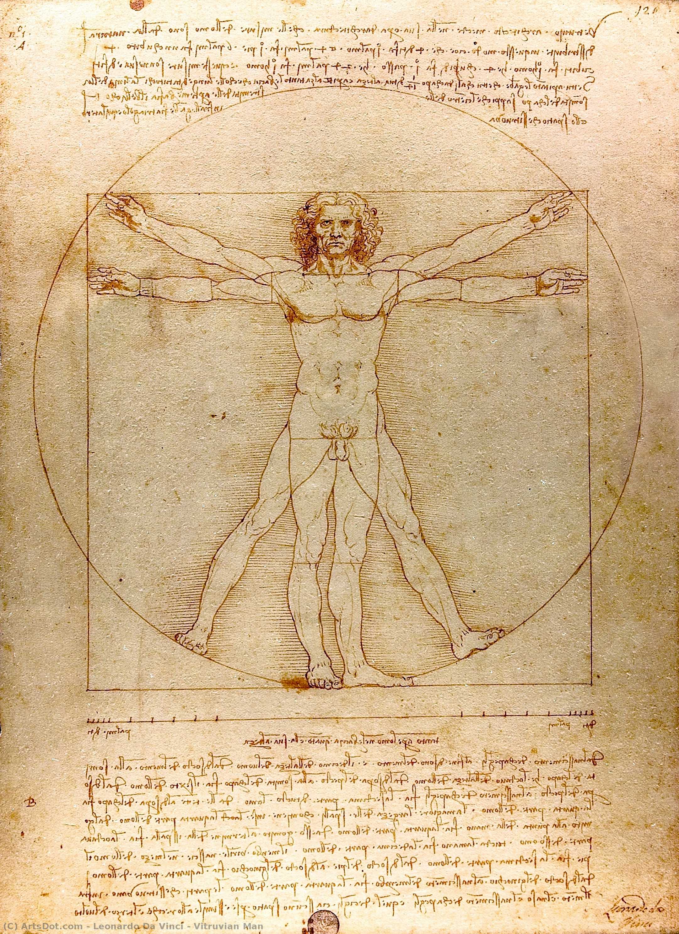 Vitruvius Man — Leonardo Da Vinci