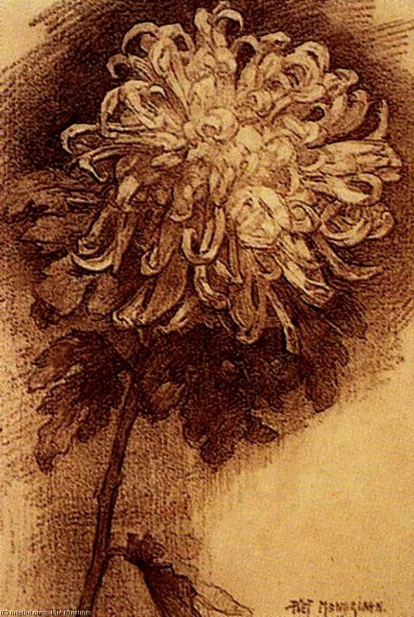 Crisantemo 1 — Piet Mondrian