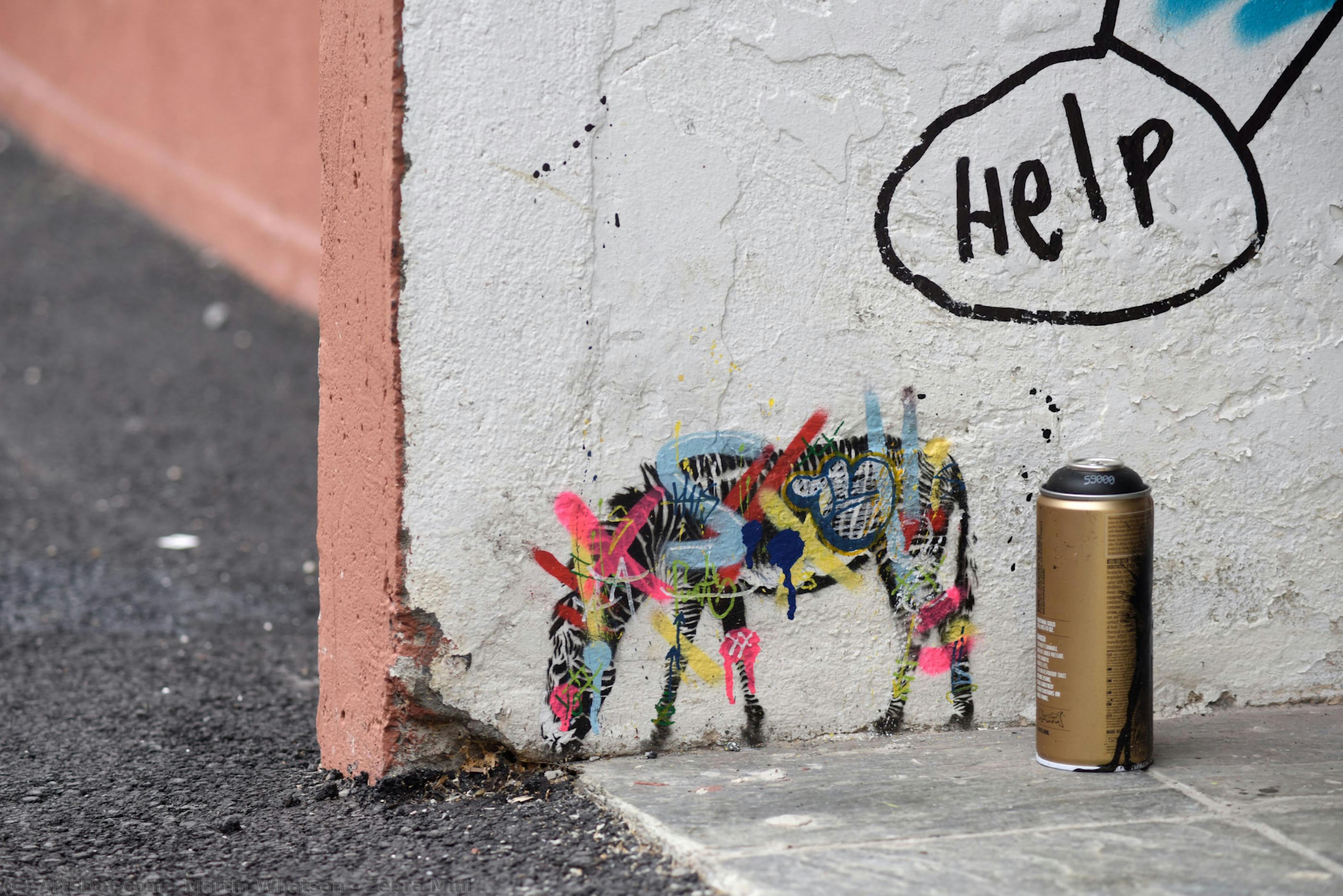 Zebra Mini — Martin Whatson