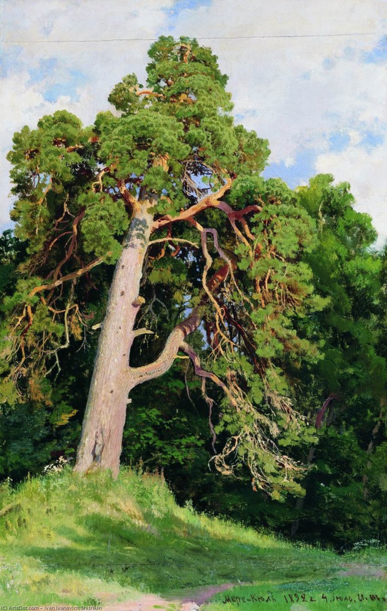 Pine — Ivan Ivanovich Shishkin
