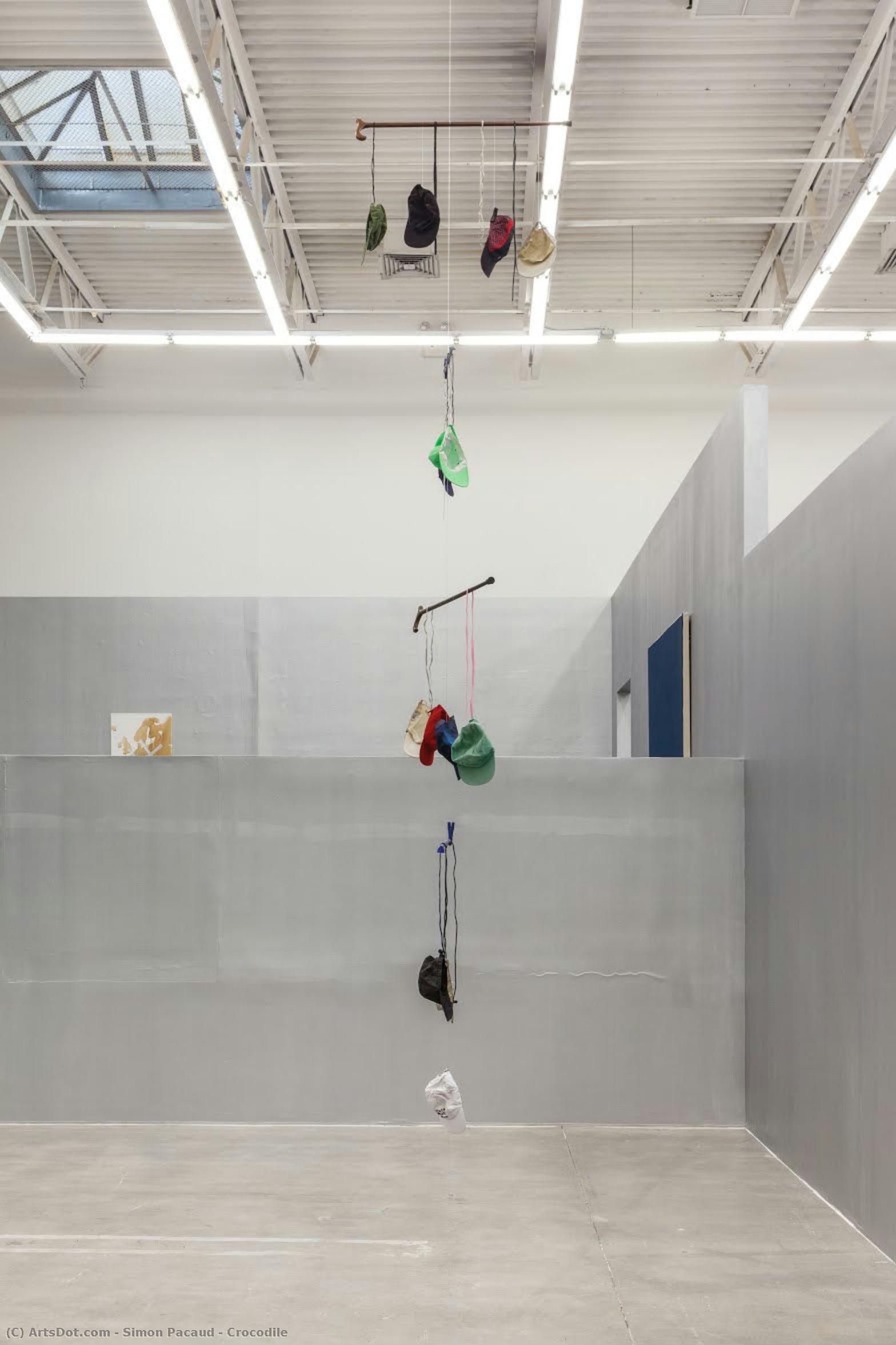 Crocodile — Simon Pacaud