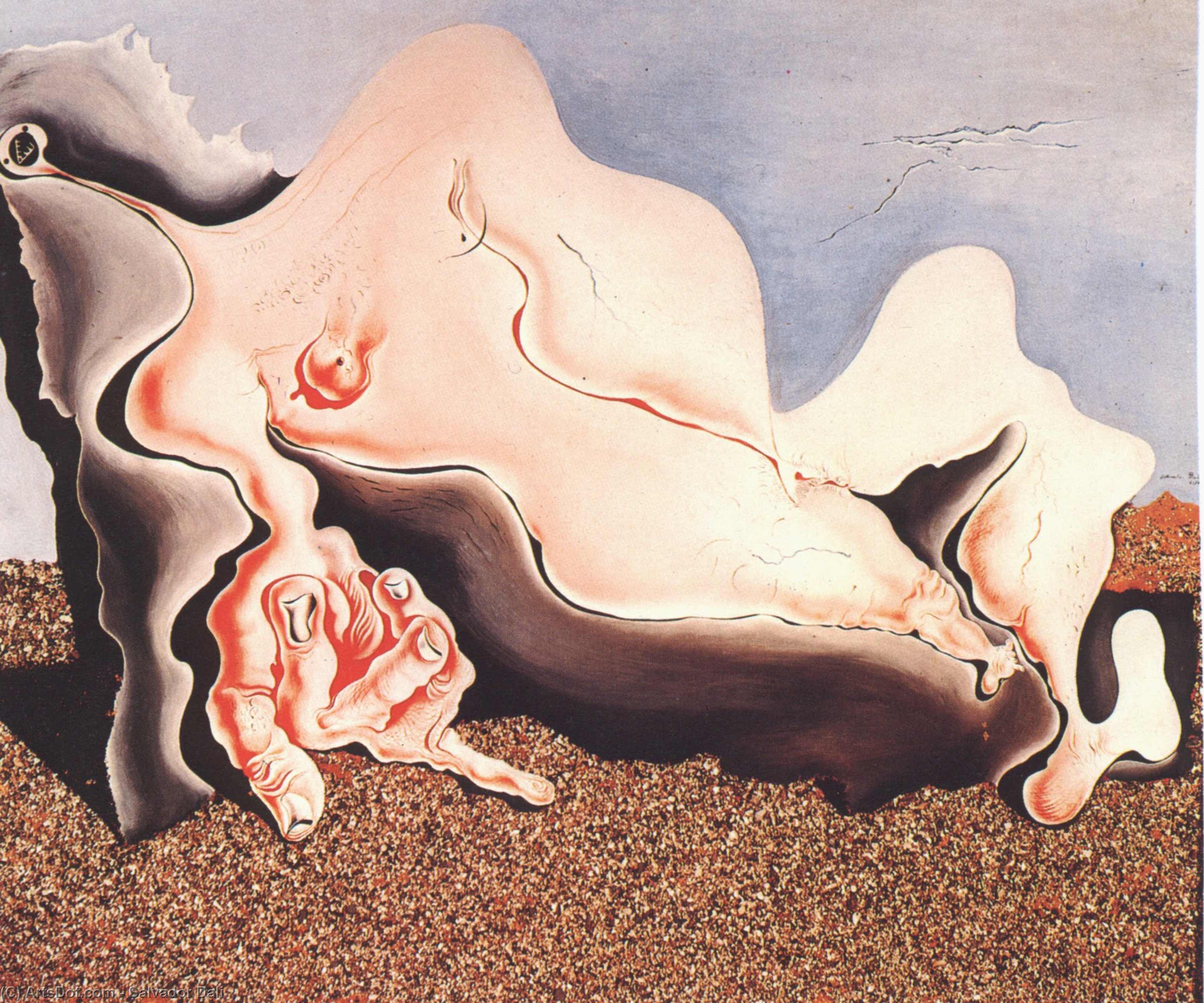 Salvador Dalí - Female Bather