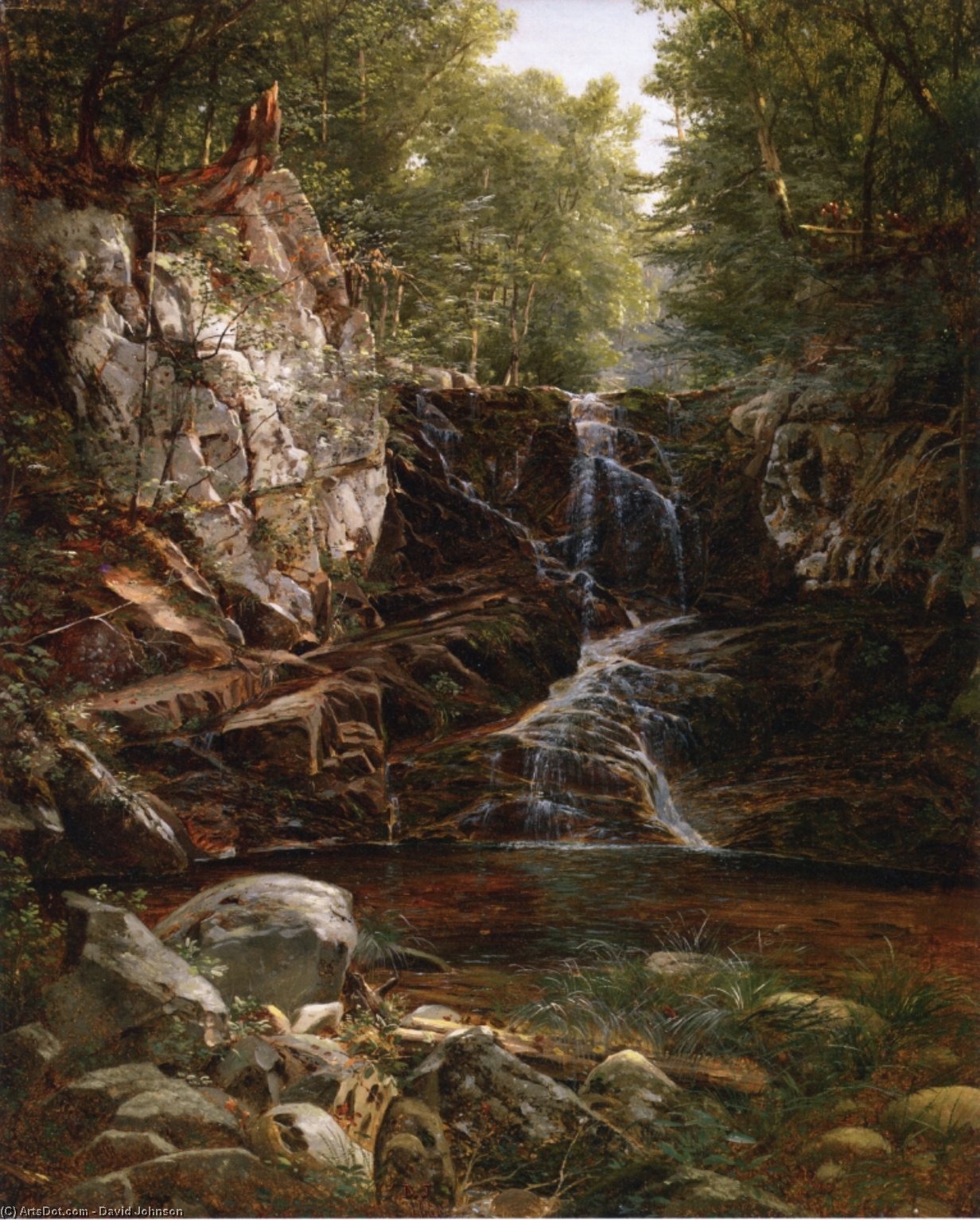 Indian Falls — David Johnson