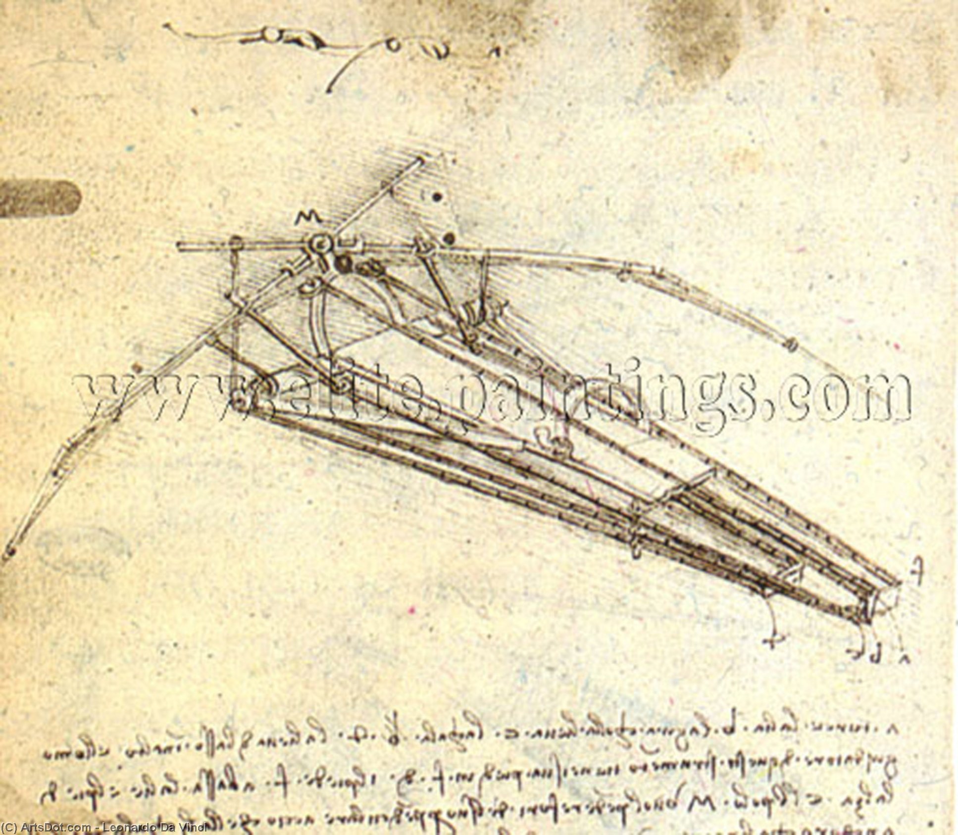 Uno De Los Diseños De Leonardo Da Vinci Para Un Ornithóptero — Leonardo Da Vinci