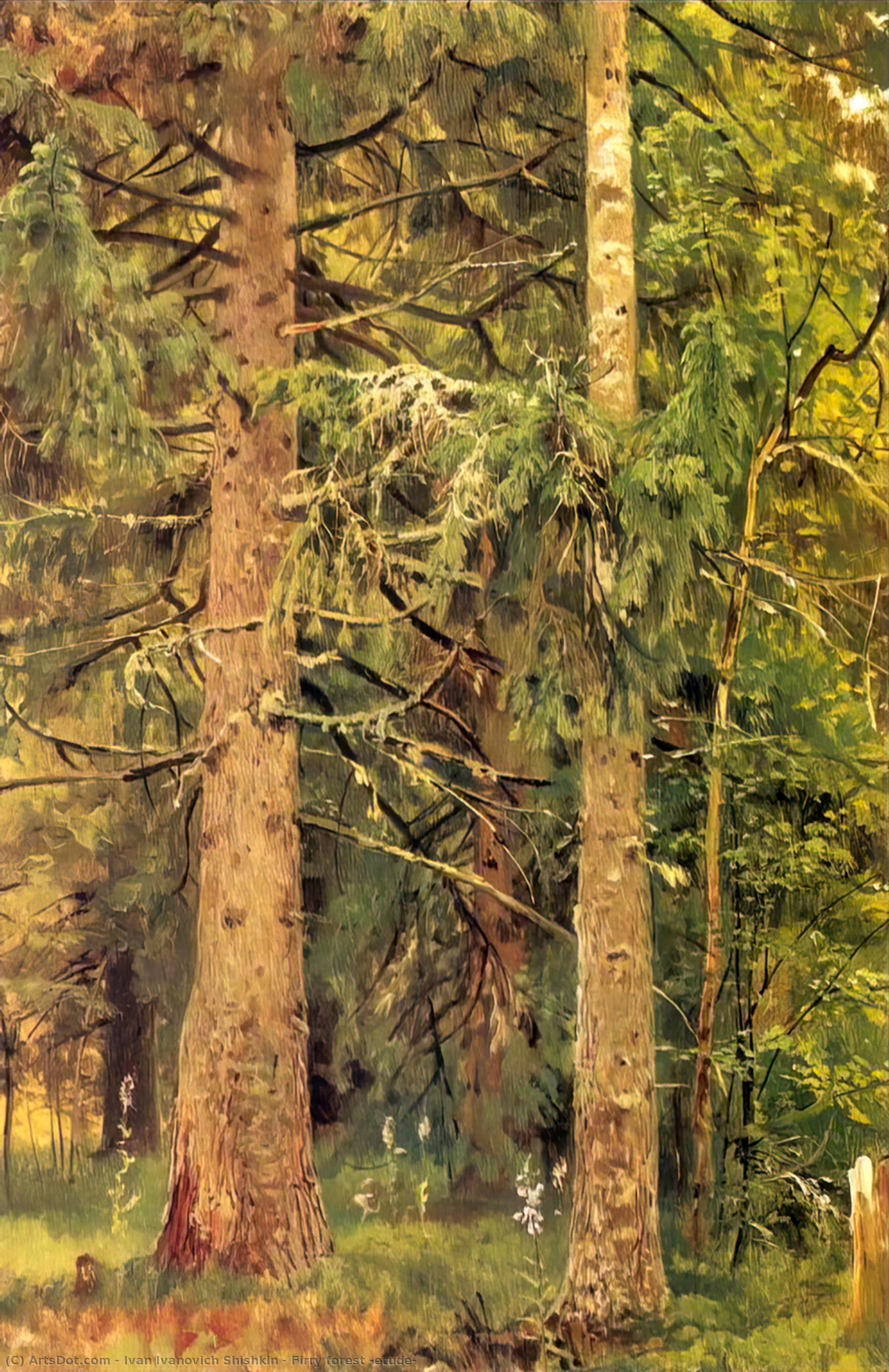 Фирън Гора (етуд) — Ivan Ivanovich Shishkin