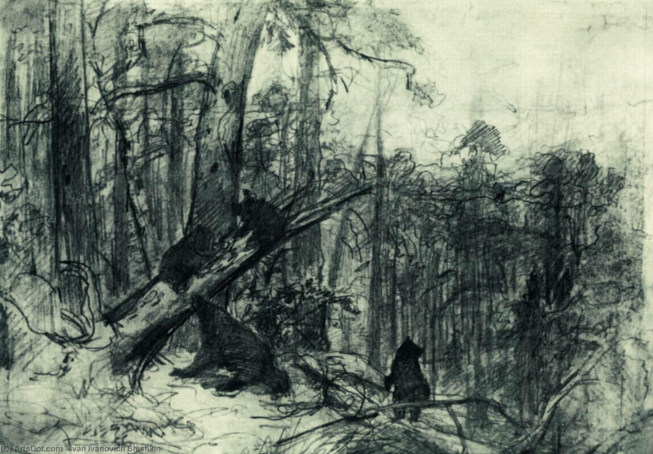 Explore Ivan Shishkin’s ‘morning In A Pine Forest’! A Stunning 1886 Russian Realist Masterpiece – Monochromatic Beauty & Intricate Detail. Perfect For Art Lovers! Morning In A Pine Forest Artworks_database /en/art/ivan-ivanovich-shishkin-morning-in-a-p — İvan İvanoviç Şişkin