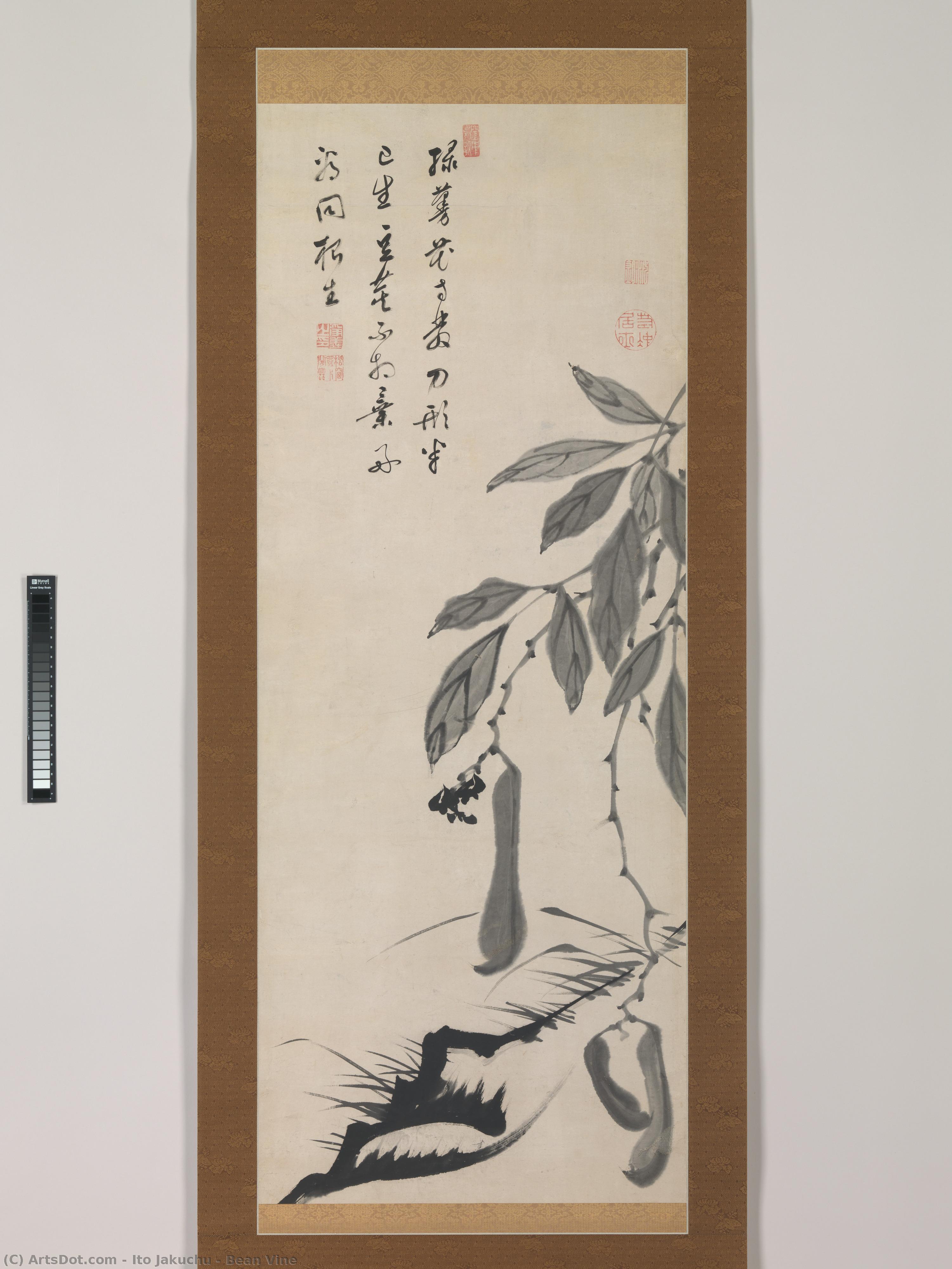Itō Jakuchū - Bean Vine