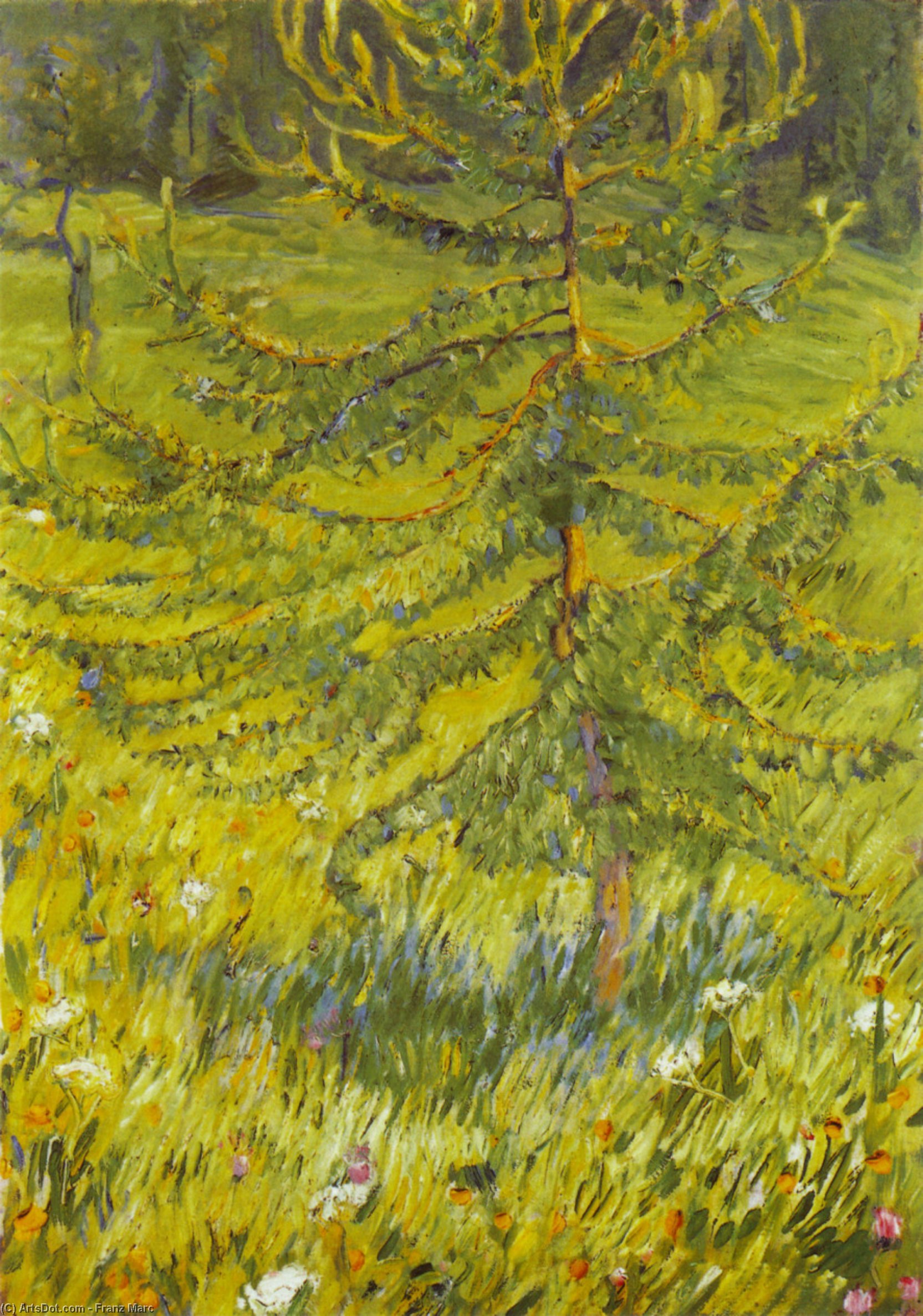 Franz Marc - Salice giovane
