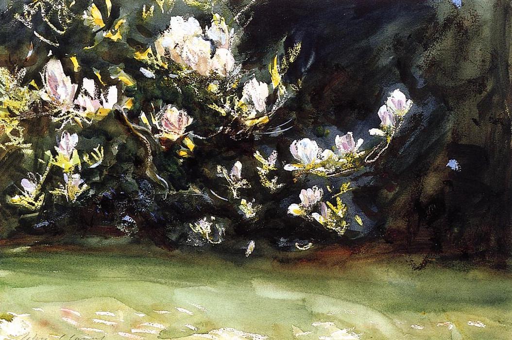 Džon Singer Seržen - Magnolias
