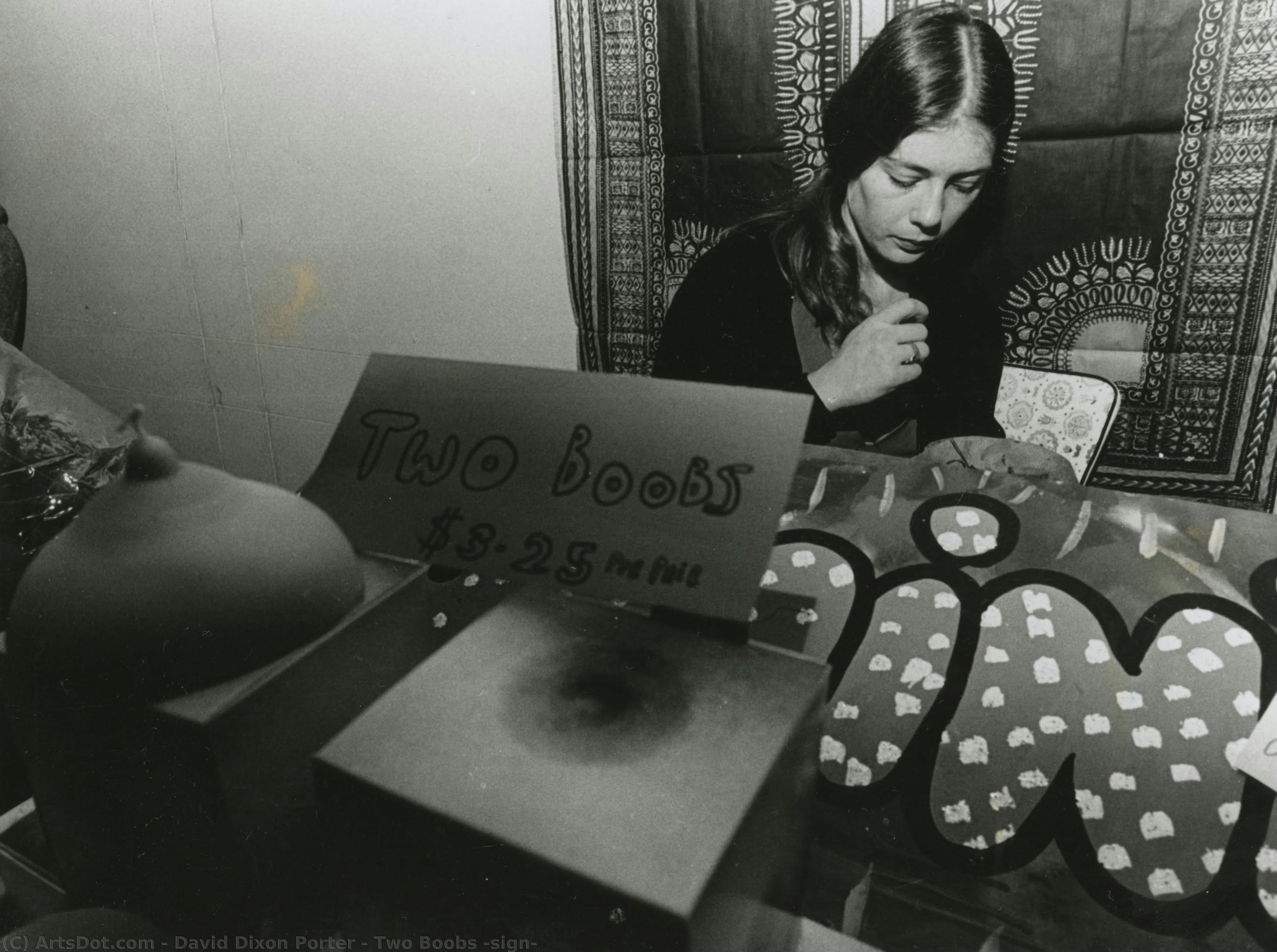 David Dixon Porter - Two Boobs (sign)