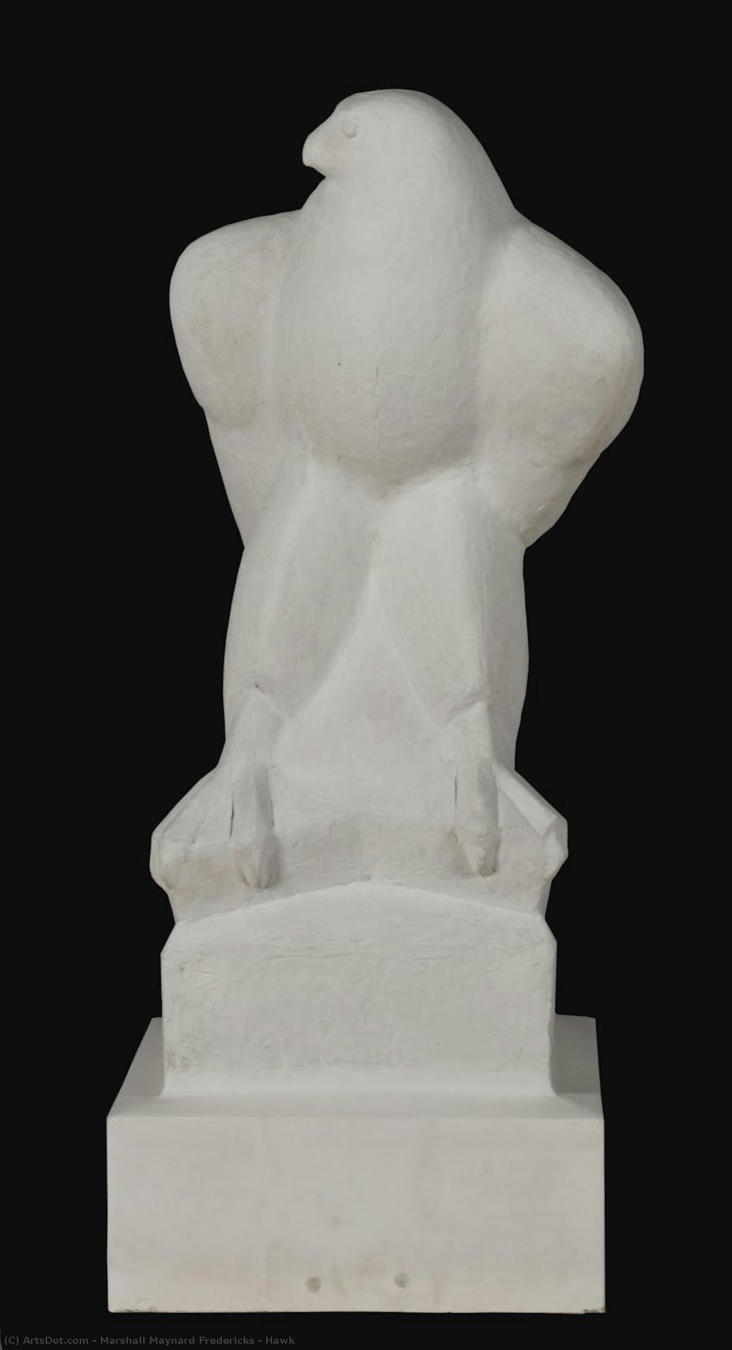 marshall maynard fredericks - Hawk