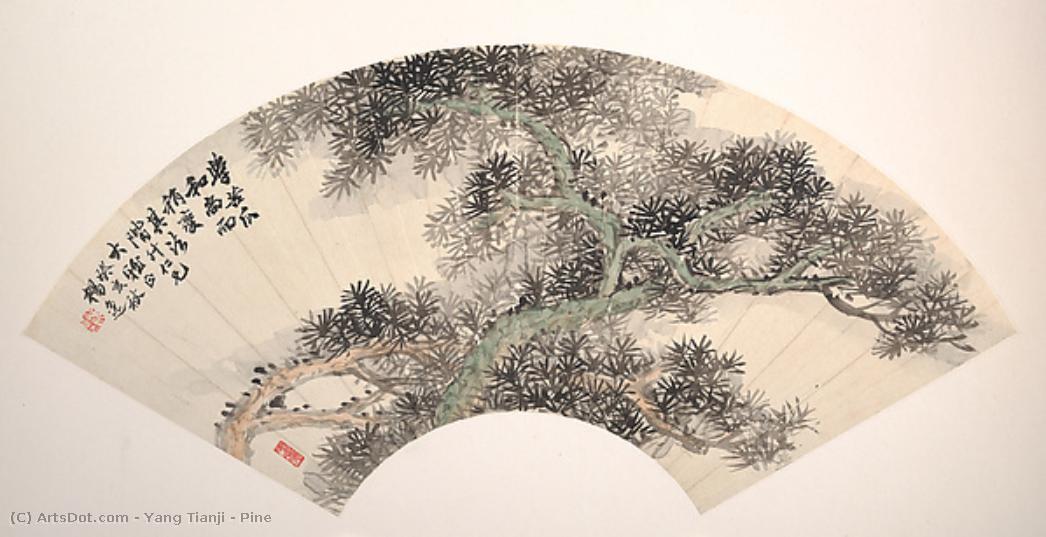 Pine — Yang Tianji