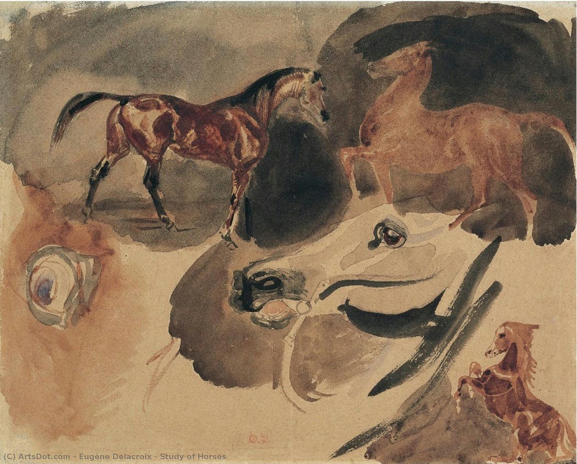 Studio Di Cavalli — Eugène Delacroix
