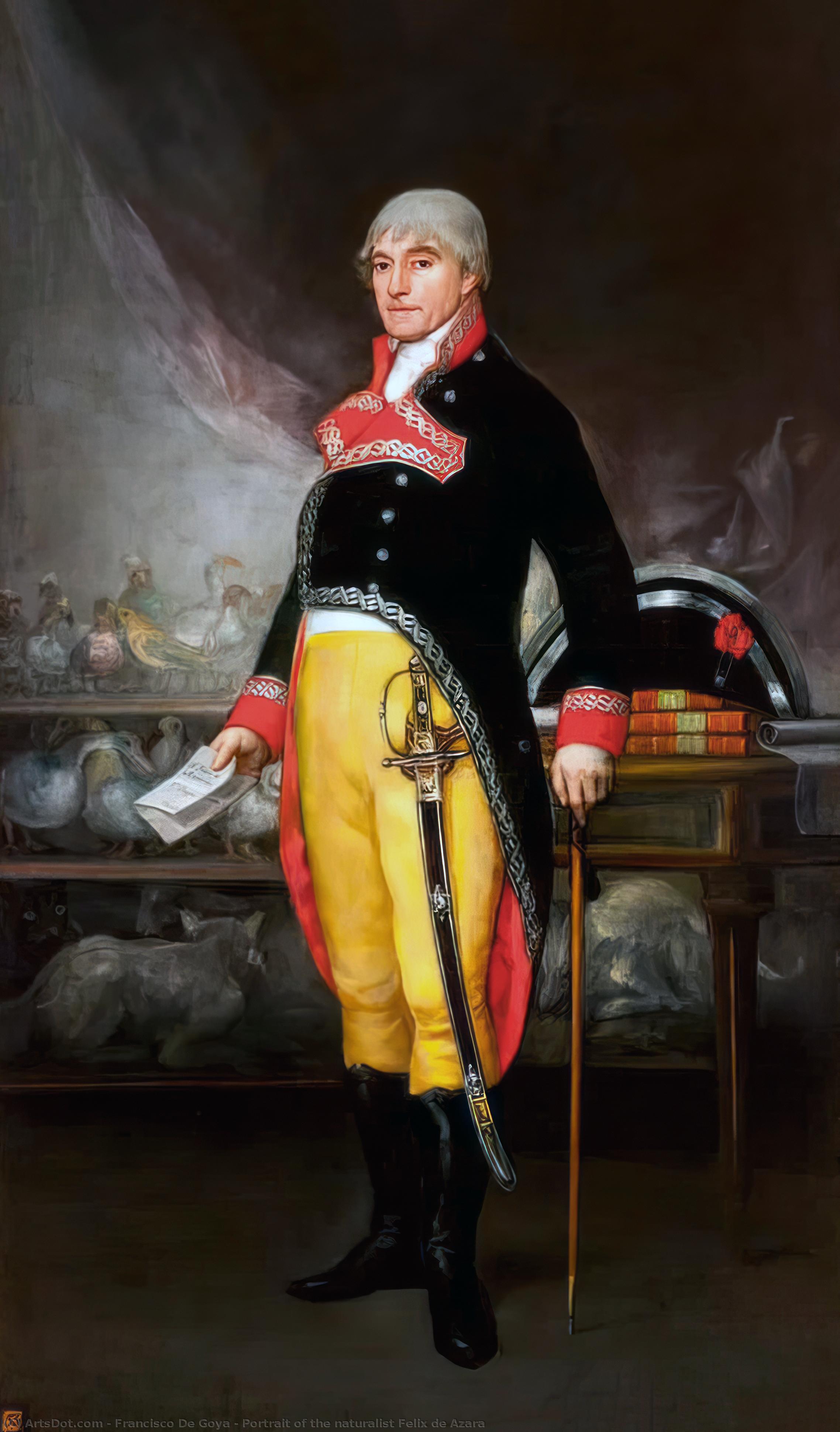 Ritratto Del Naturalista Felix De Azara — Francisco José De Goya Y Lucientes