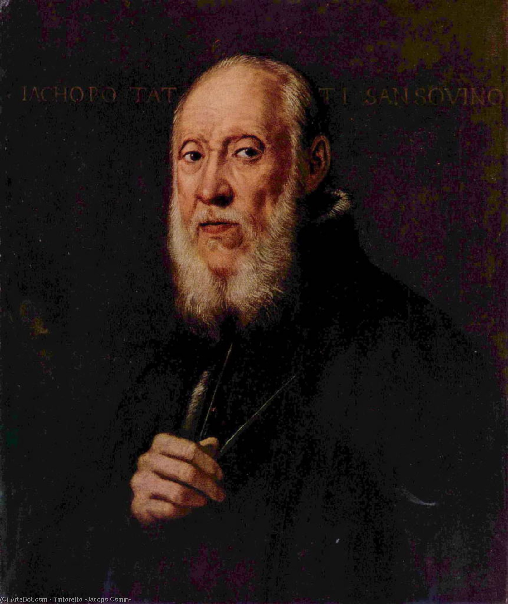 Ritratto Dello Scultore Jacopo Sansovino — Jacopo Tintoretto