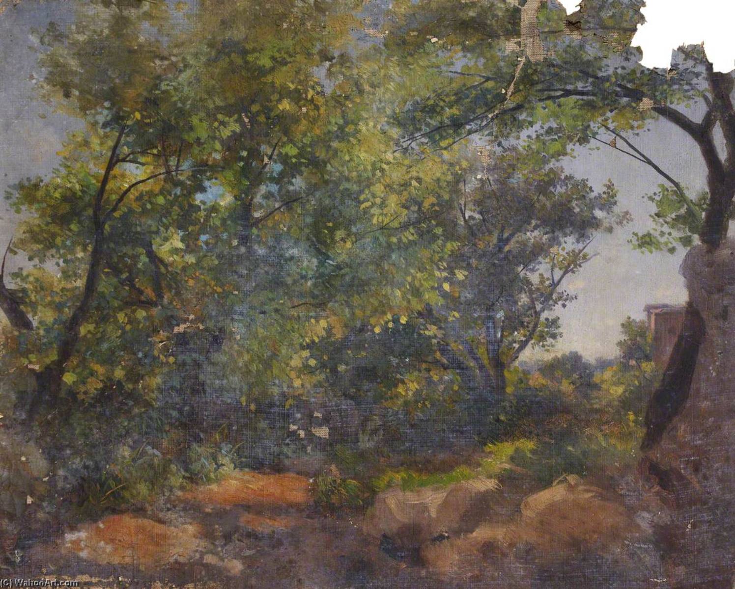 Forest Landscape — Thomas Stuart Smith