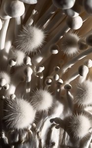 Primordial Stillness: An Alabaster Microcosm — Aurélie Denis